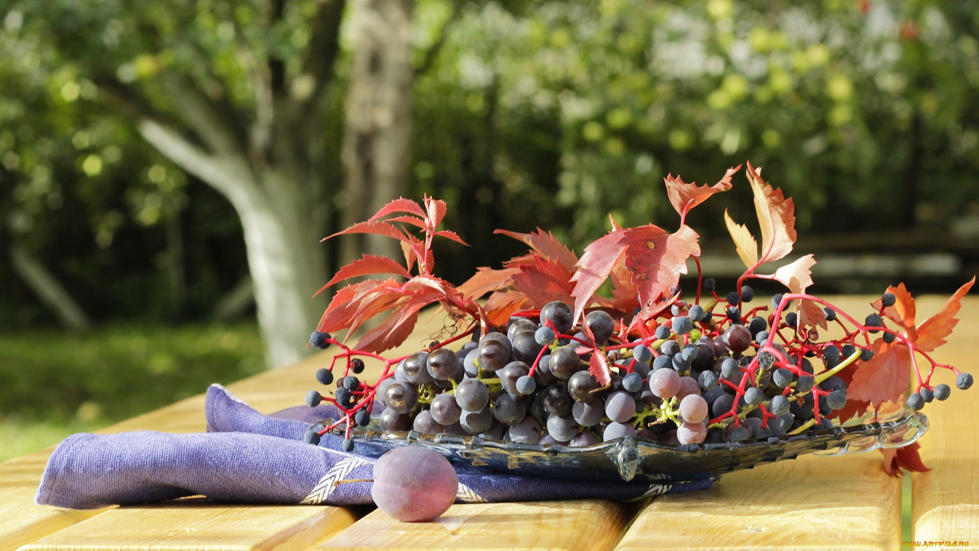 еда, виноград, кисть, спелый, листья