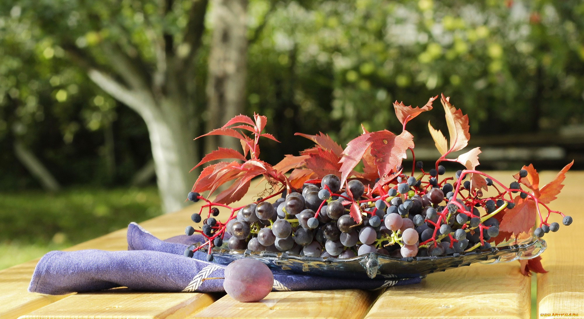 еда, виноград, кисть, спелый, листья