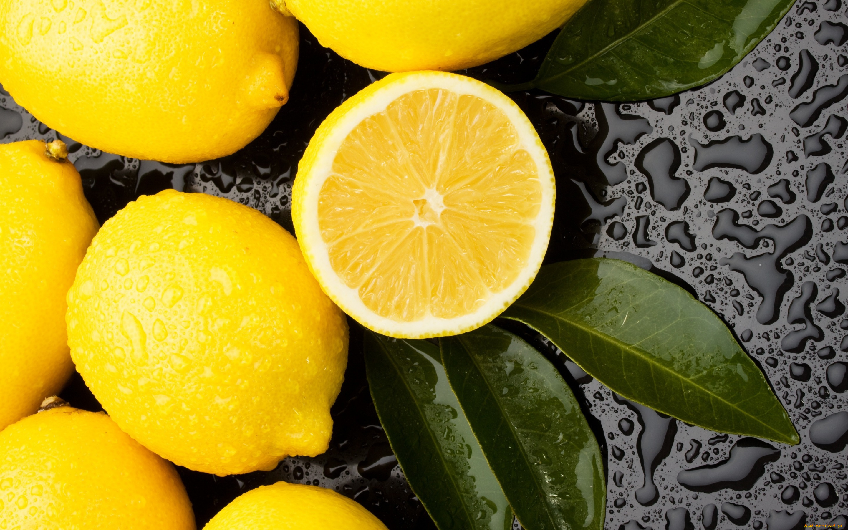 фотообои лимон