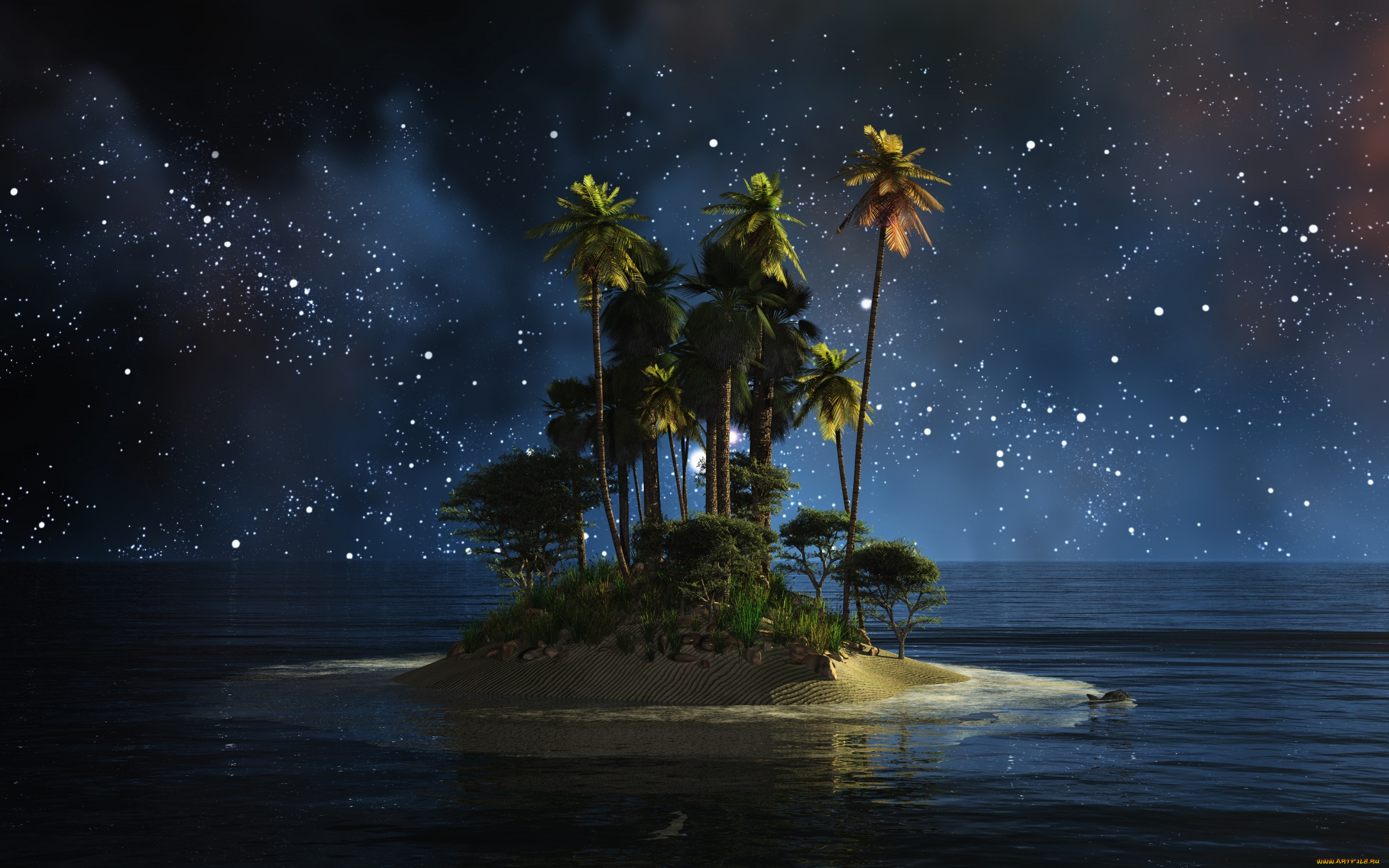 природа, тропики, остров, пальмы, ночь, вода