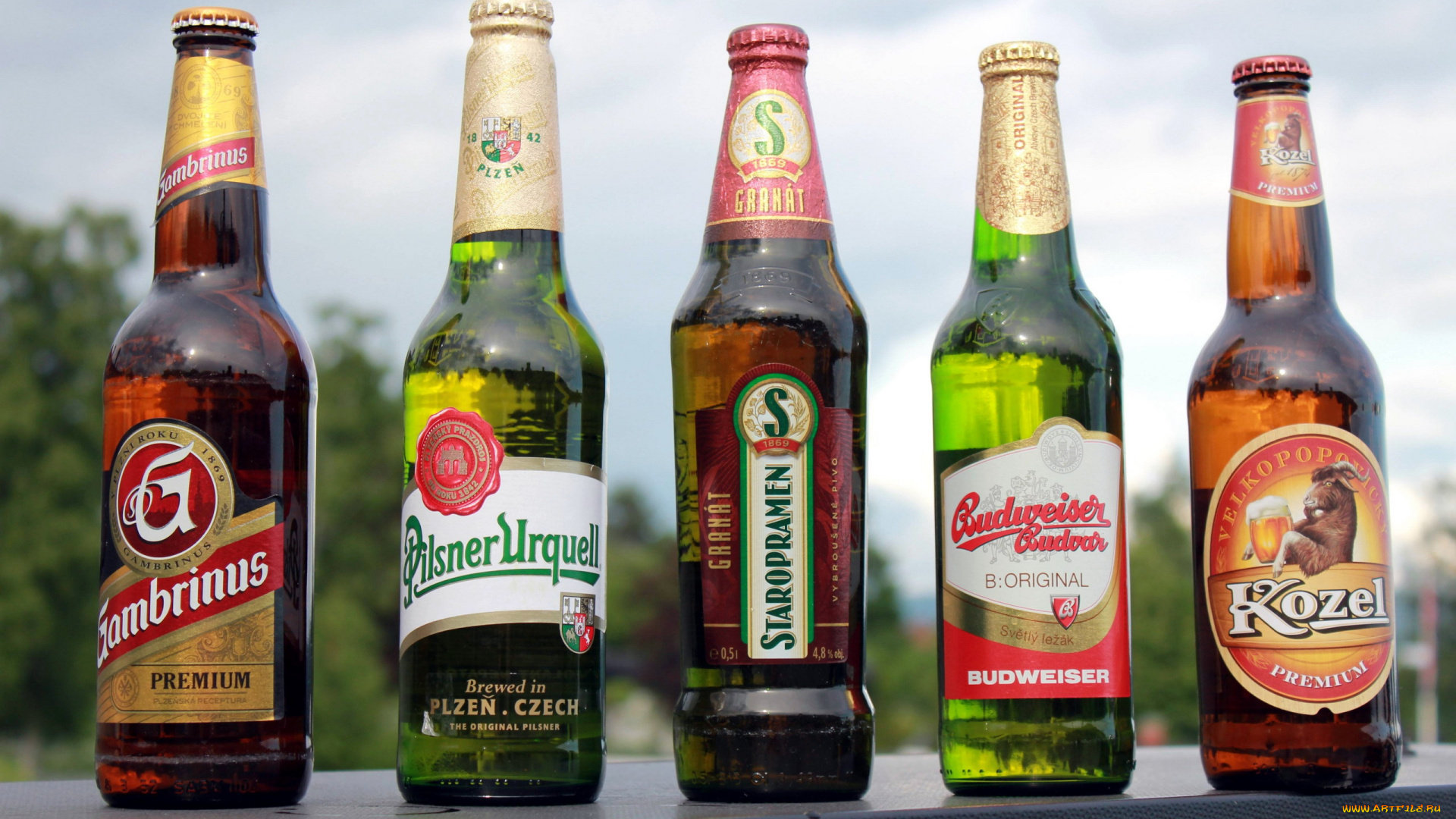 бренды, бренды, напитков, , разное, чешское, пиво