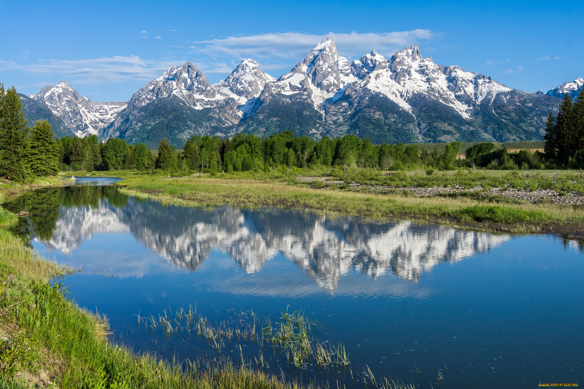 природа, реки, озера, деревья, горы, отражение, река, вайоминг, wyoming, grand, teton, national, park, скалистые, снейк, snake, river, rocky, mountains, национальный, парк, гранд-титон