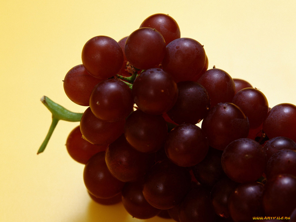 еда, виноград