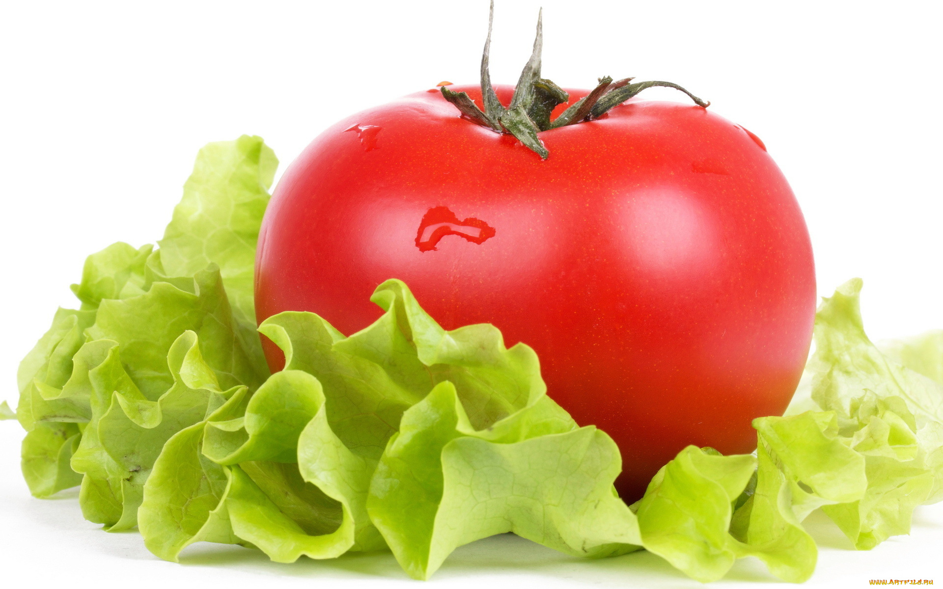 еда, помидоры, краснобокий, зеленый, капли, томаты