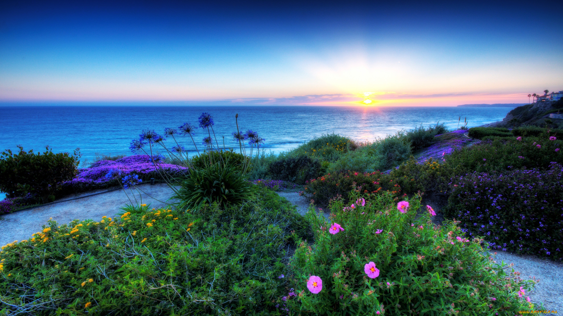 beach, природа, восходы, закаты, луг, цветы, берег