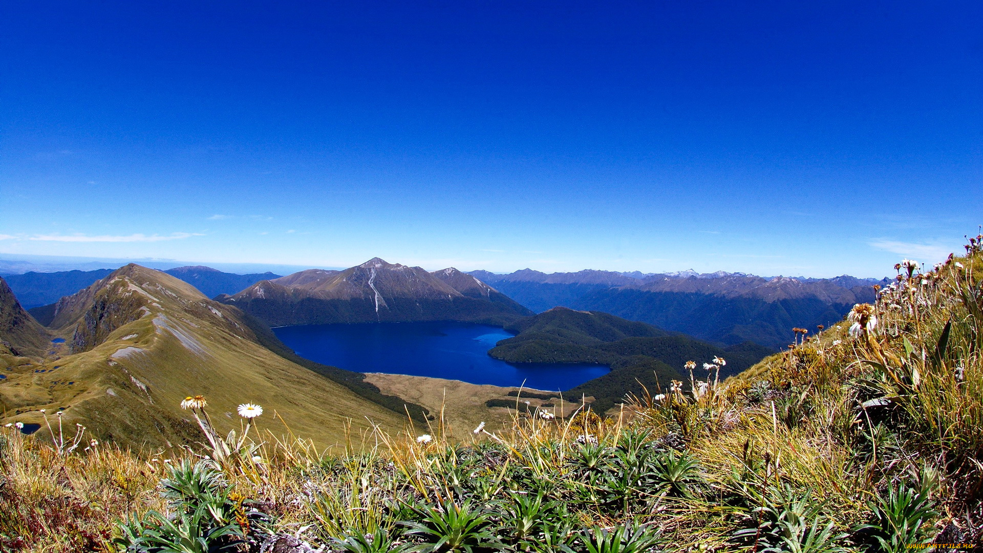 fiordland, national, park, новая, зеландия, природа, реки, озера, new, zealand, горы, озеро
