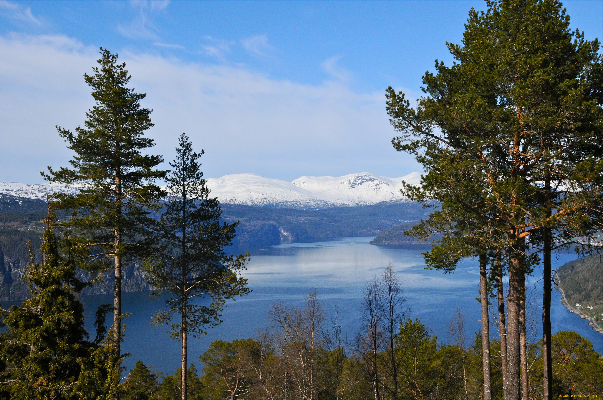 природа, реки, озера, норвегия, фьорд, горы, деревья