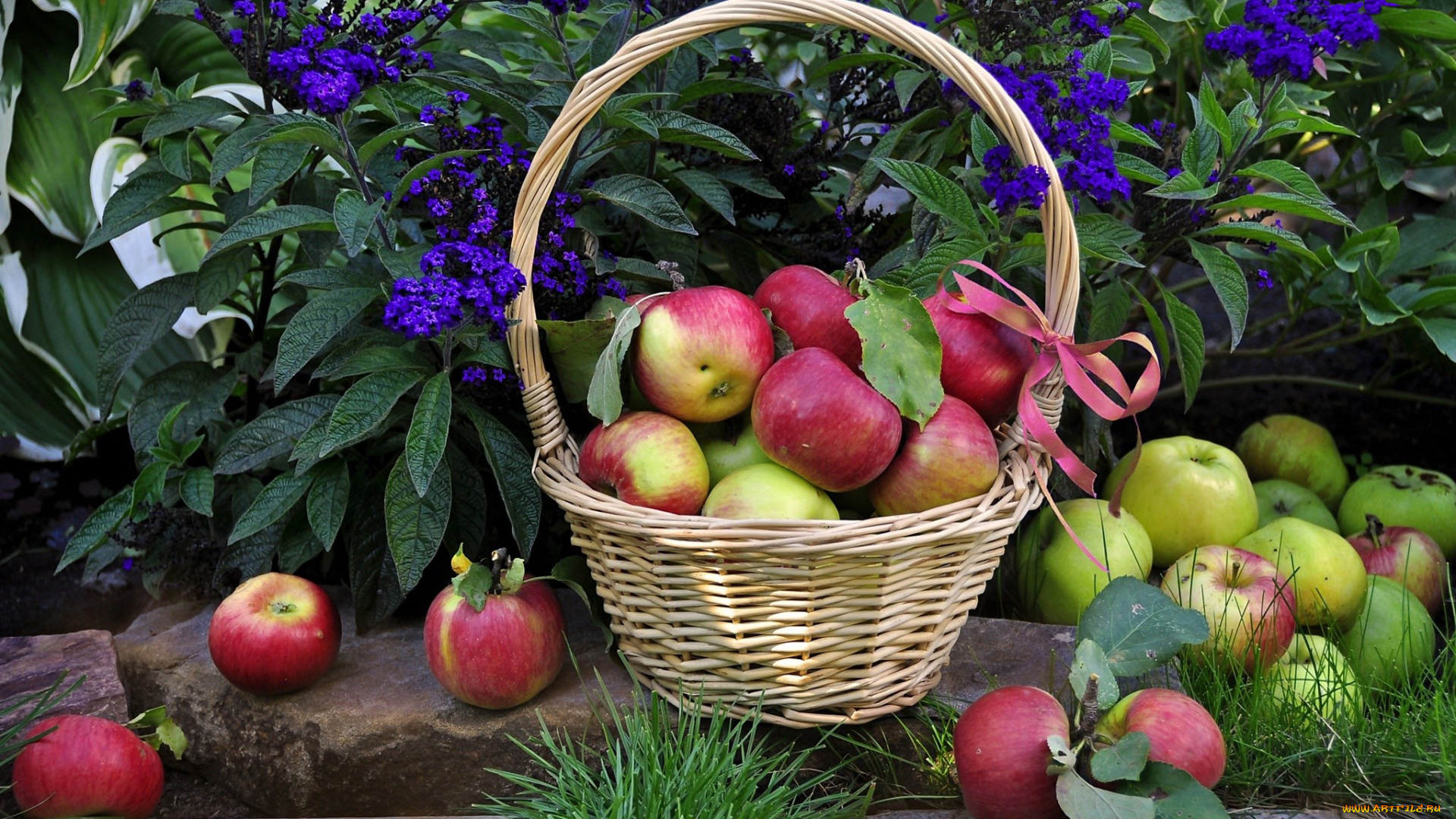 еда, Яблоки, корзинка, фрукты, яблоки, цветы