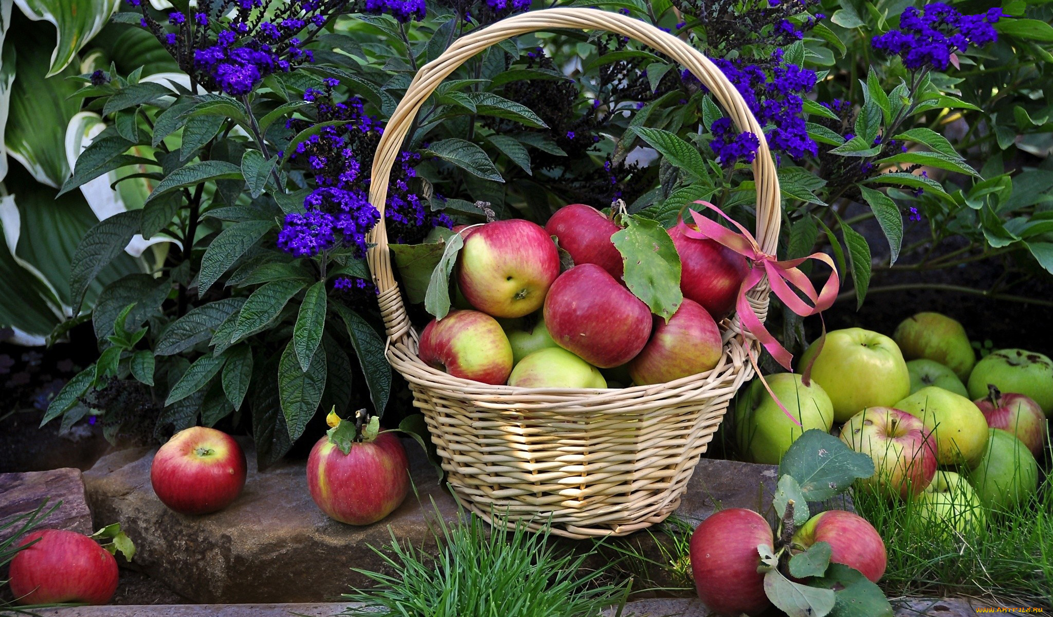 еда, Яблоки, корзинка, фрукты, яблоки, цветы