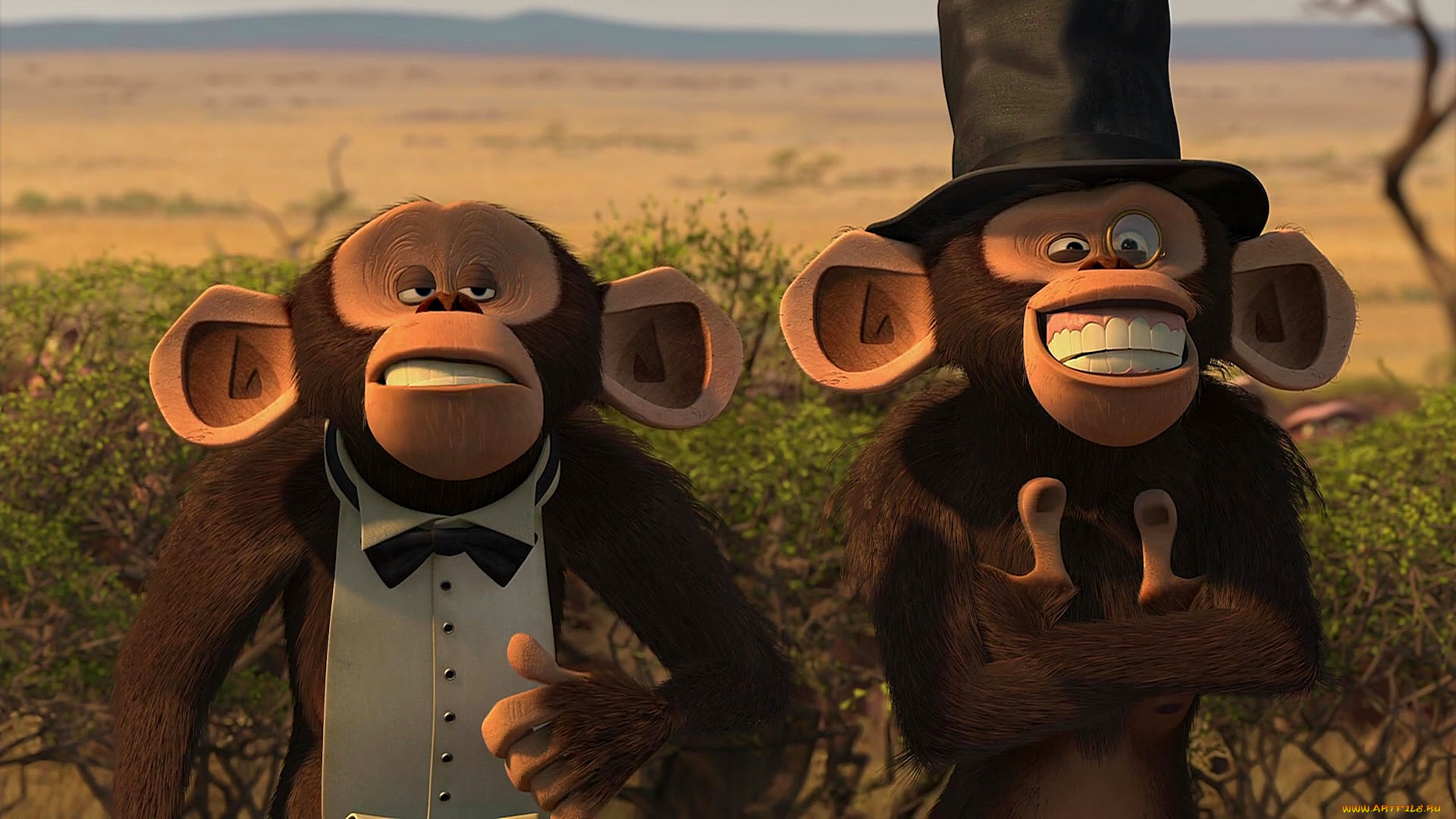 мультфильмы, madagascar, , escape, 2, africa, обезьяна, двое, шляпа