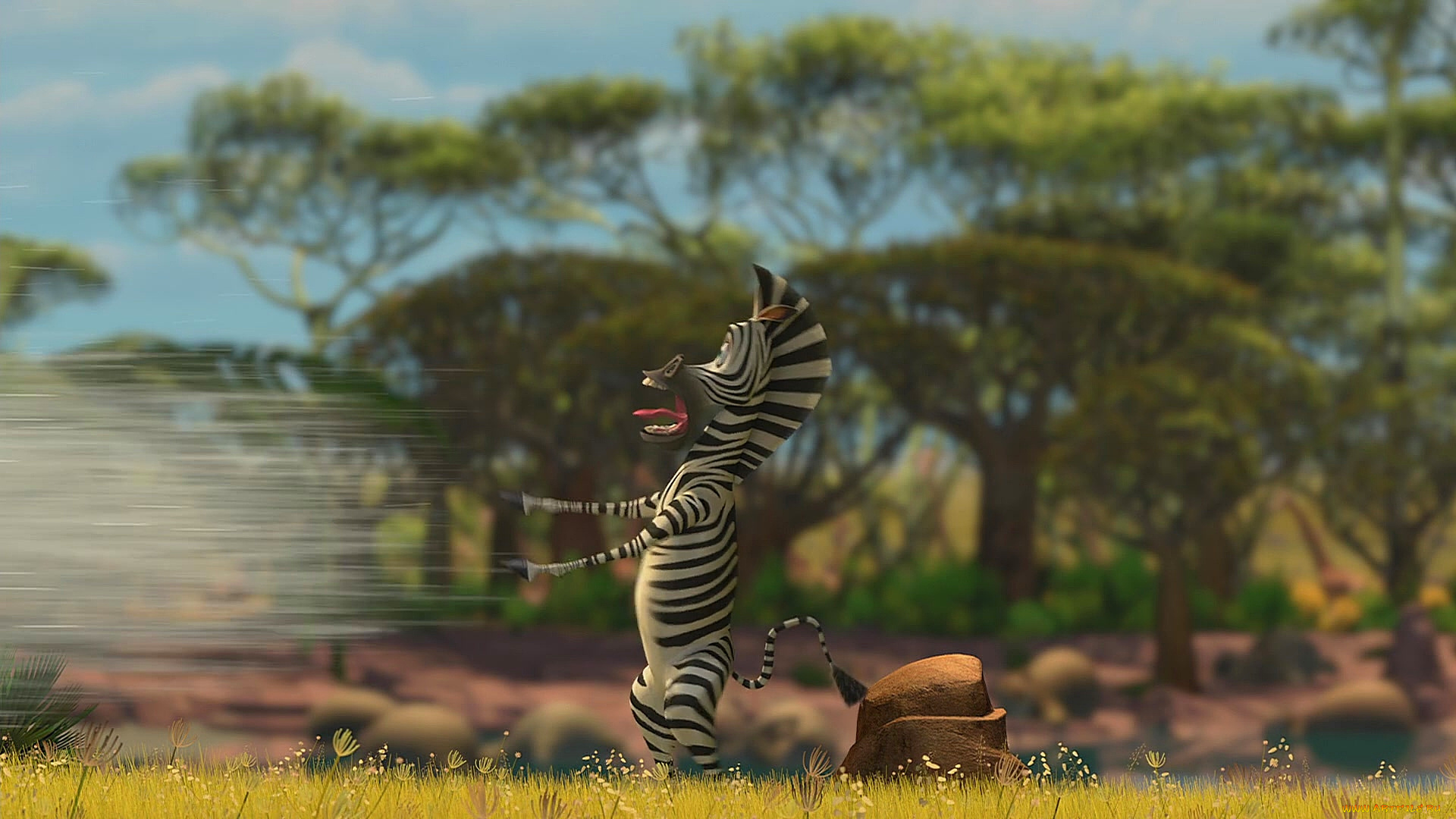 мультфильмы, madagascar, , escape, 2, africa, растения, камень, брызги, зебра