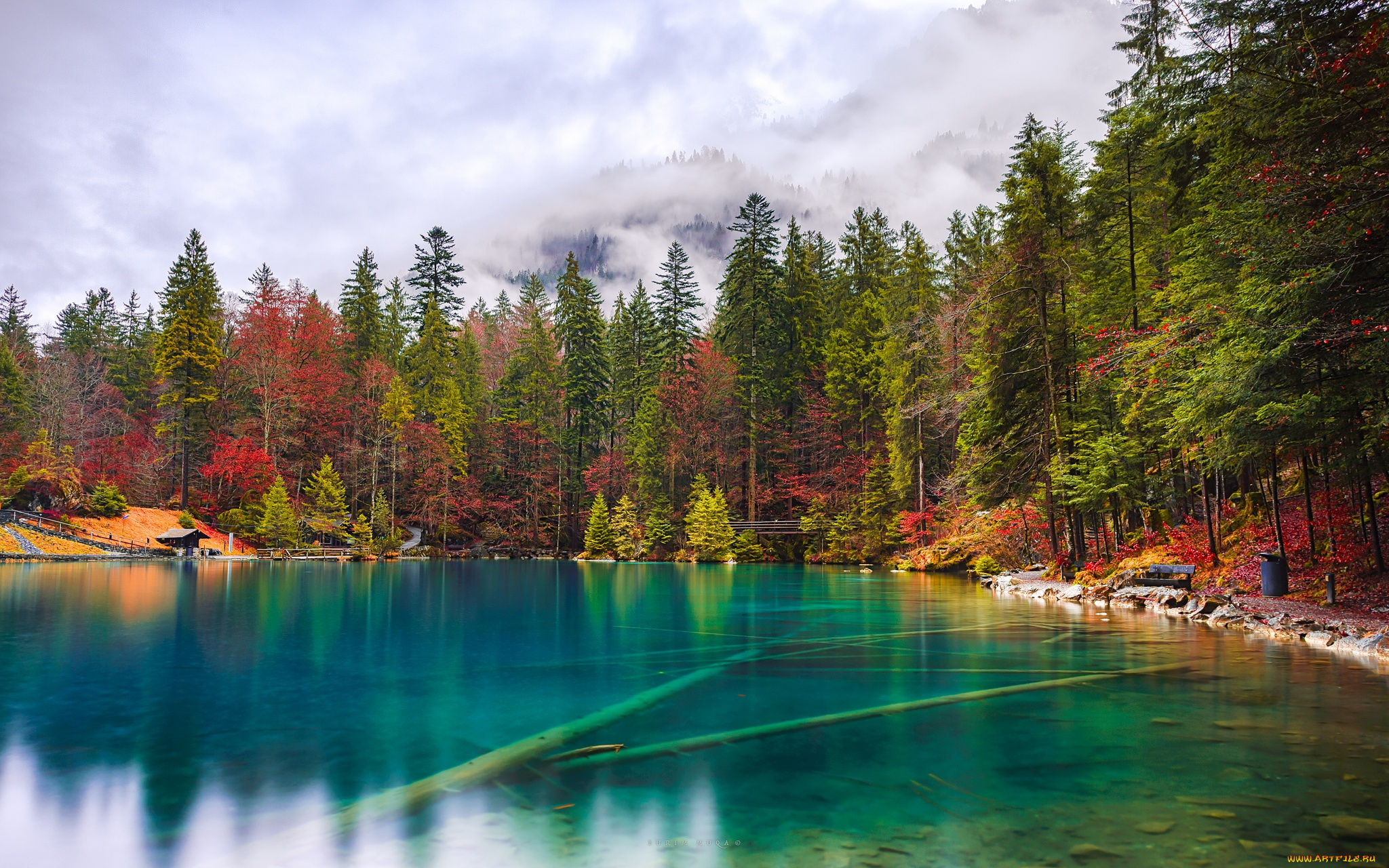 природа, реки, озера, озеро, деревья, вода, осень