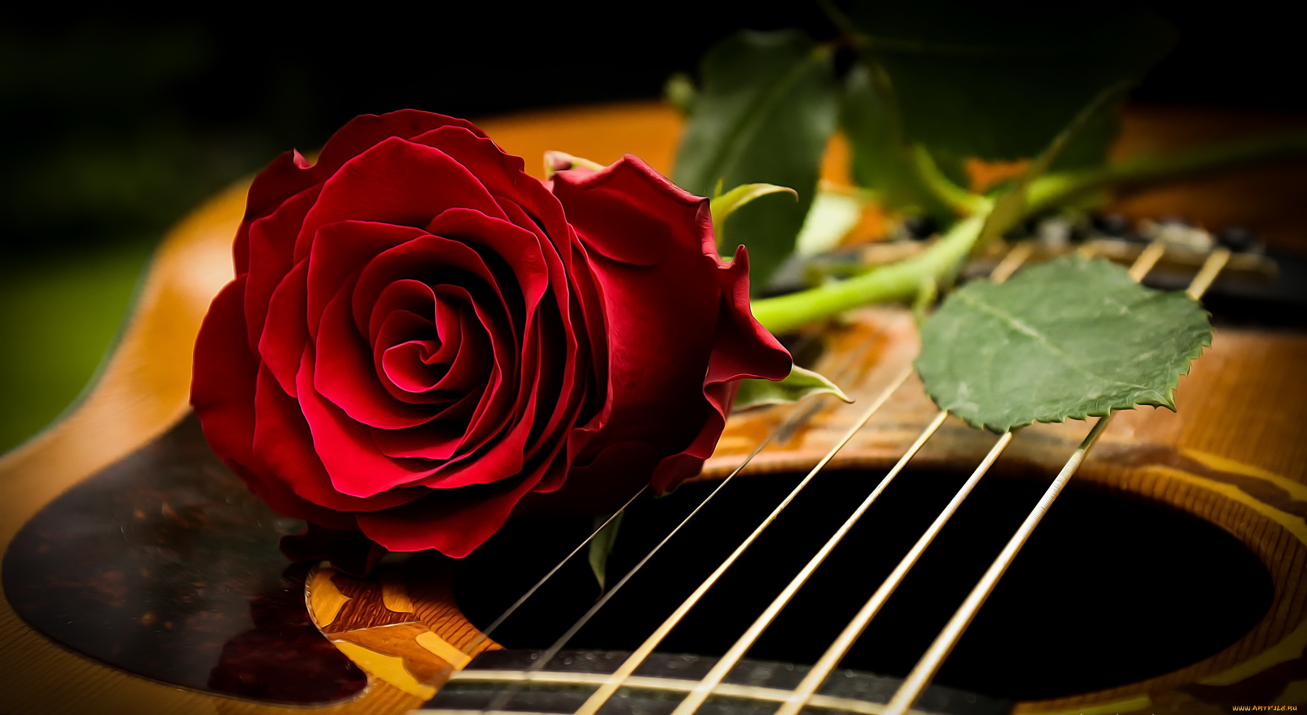 цветок на гитаре бесплатно