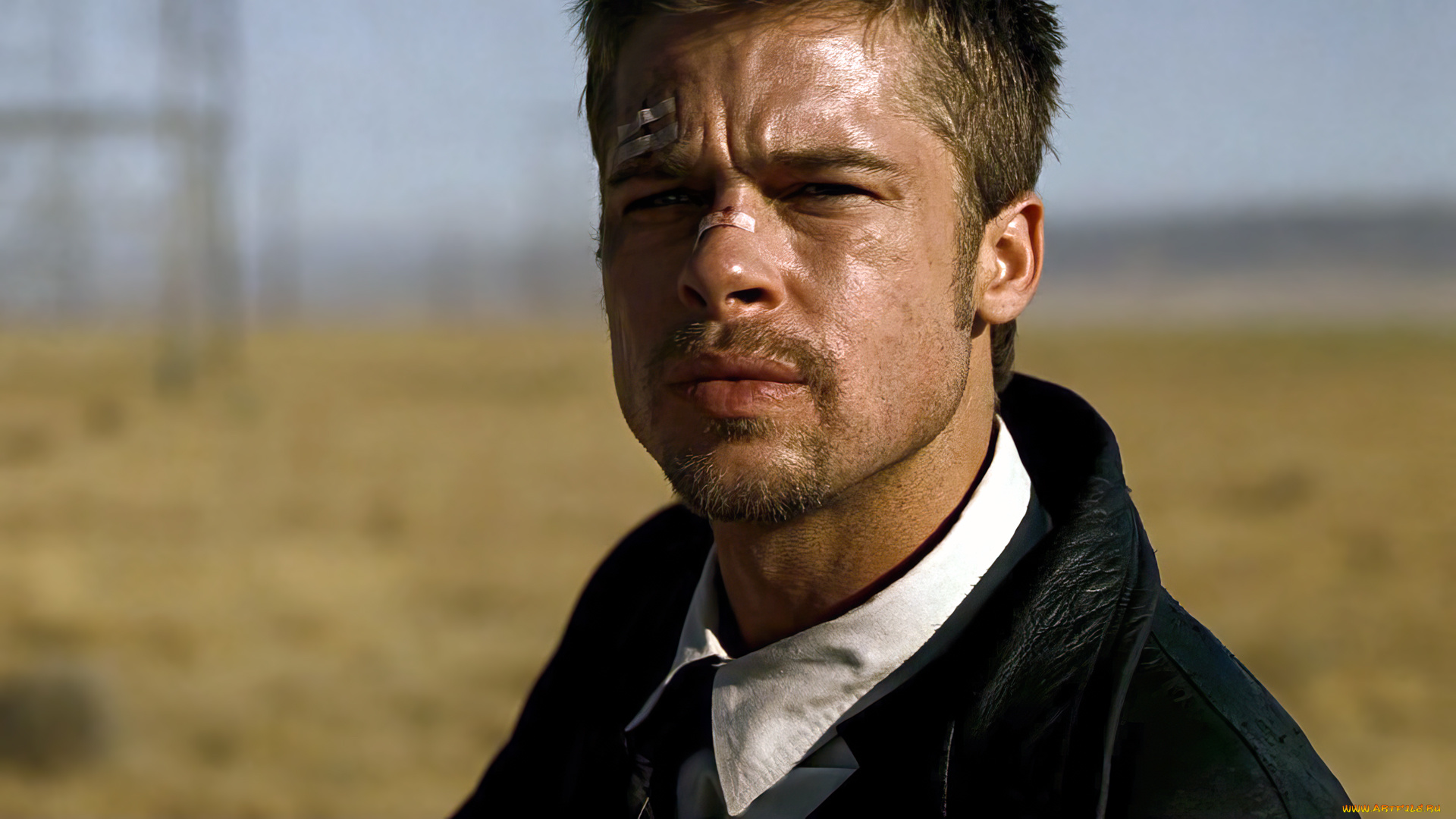 se7en, , 1995, кино, фильмы, -unknown, , другое, ceмь, триллер, драма, криминал, детектив, фильмы, кадры, из, фильмов, брэд, питт, актер, дэвид, финчер