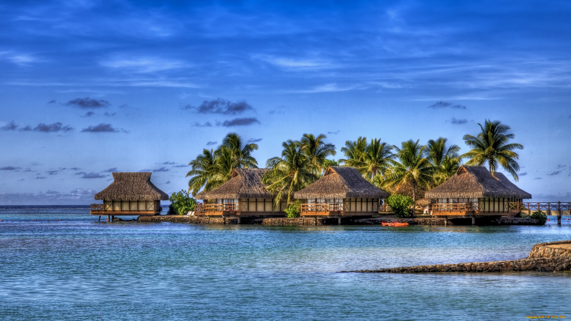 moorea, intercontinental, природа, тропики