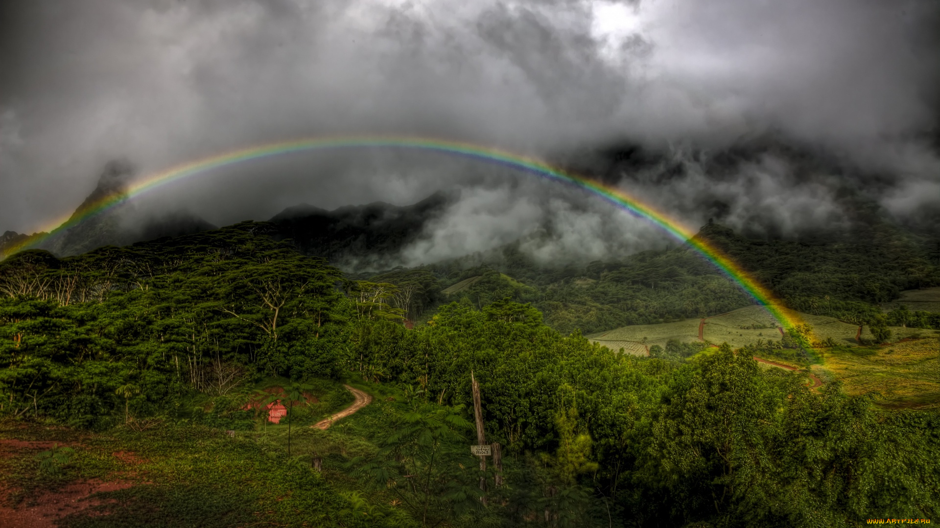 moorea, rainbow, природа, радуга