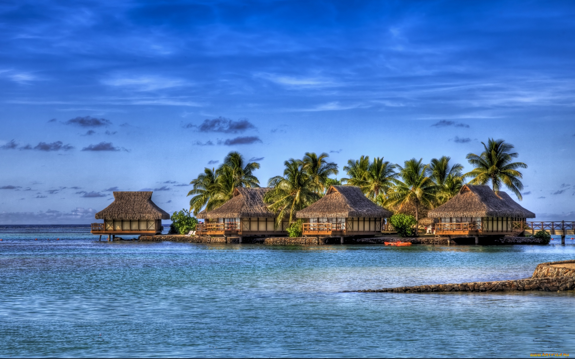 moorea, intercontinental, природа, тропики