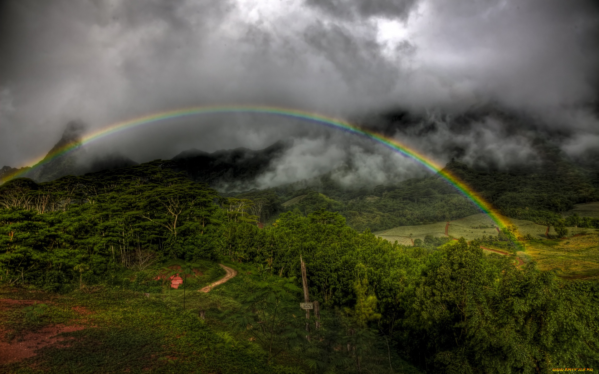 moorea, rainbow, природа, радуга