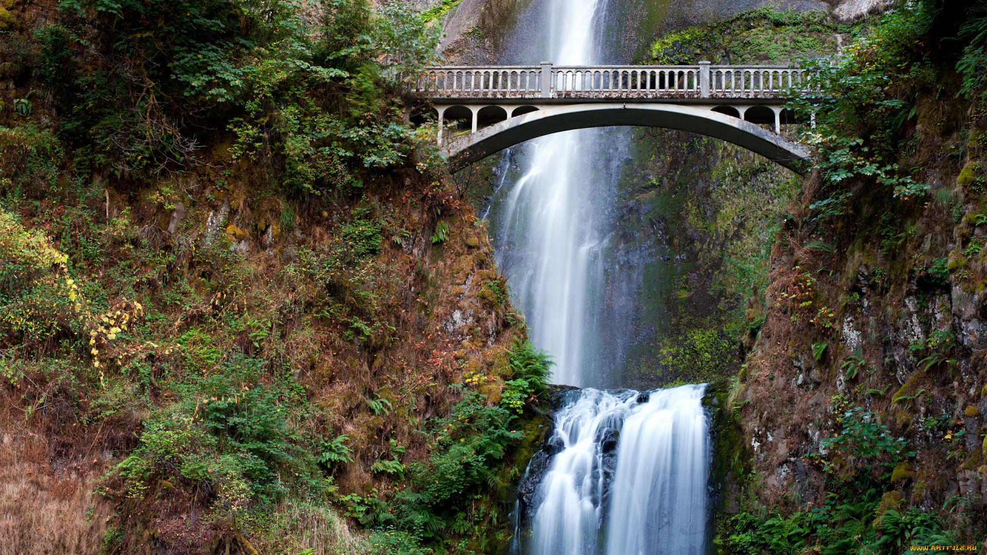 multnomah, falls, природа, водопады, мост, скалы