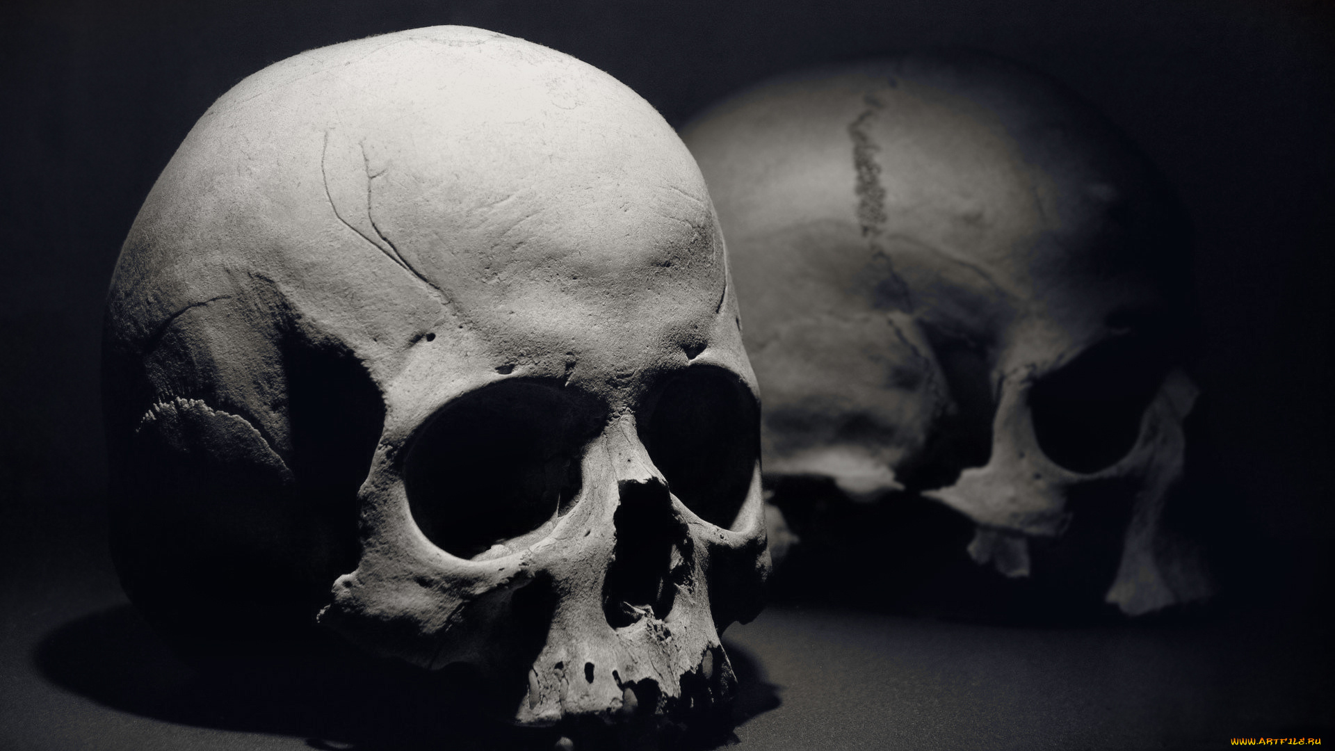 разное, кости, рентген, череп, черно-белое, тьма, скелет