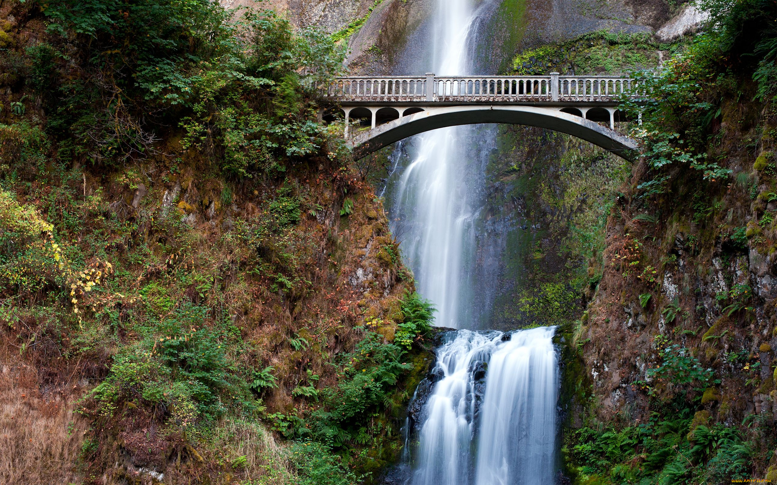 multnomah, falls, природа, водопады, мост, скалы