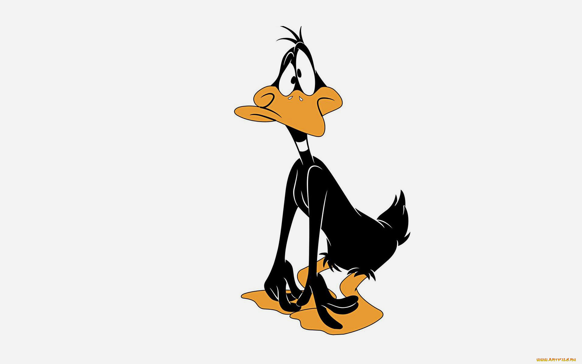 даффи, дак, мультфильмы, looney, tunes, daffy, duck