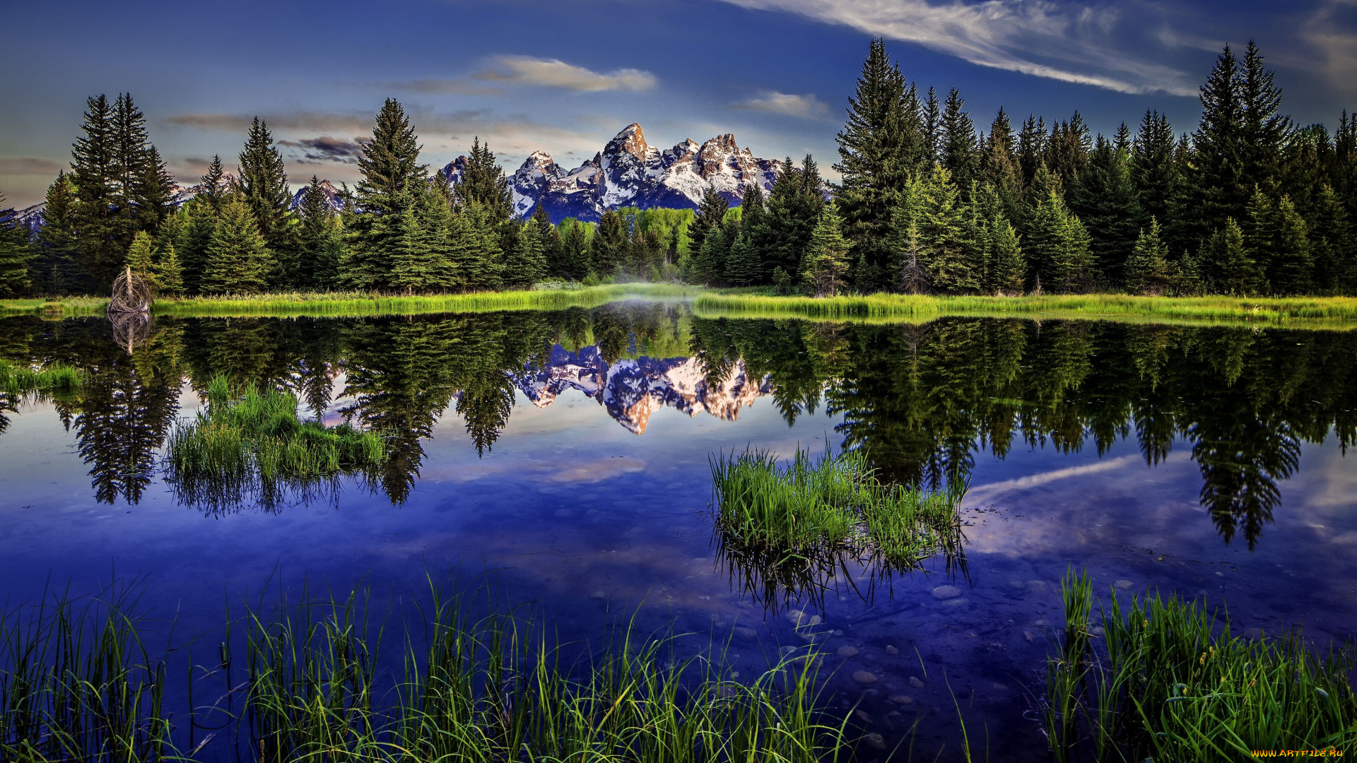 beaver, pond, grand, teton, national, park, wyoming, природа, реки, озера, скалистые, горы, лес, отражение, озеро, вайоминг, гранд-титон, rocky, mountains