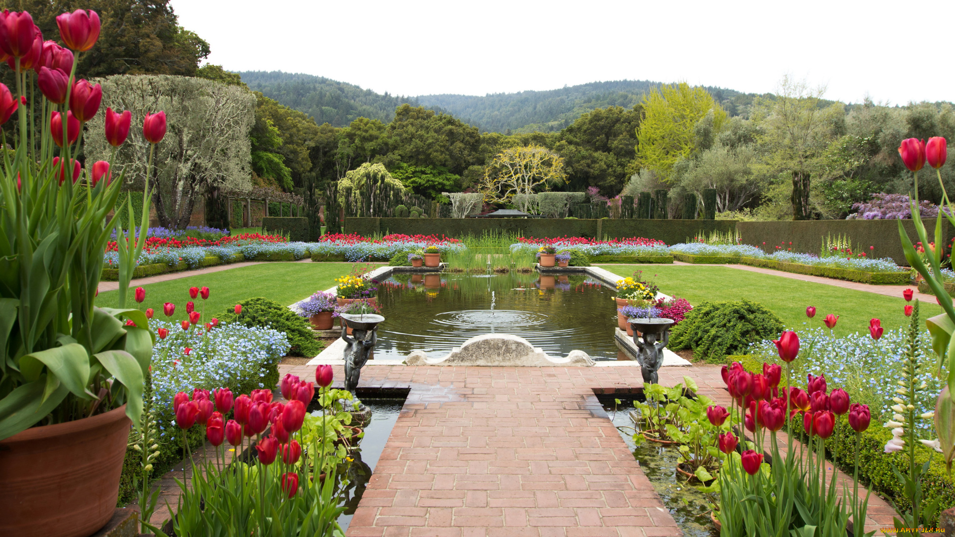 filoli, gardens, калифорния, сша, природа, парк, сад, фонтан, тюльпаны, деревья, клумбы