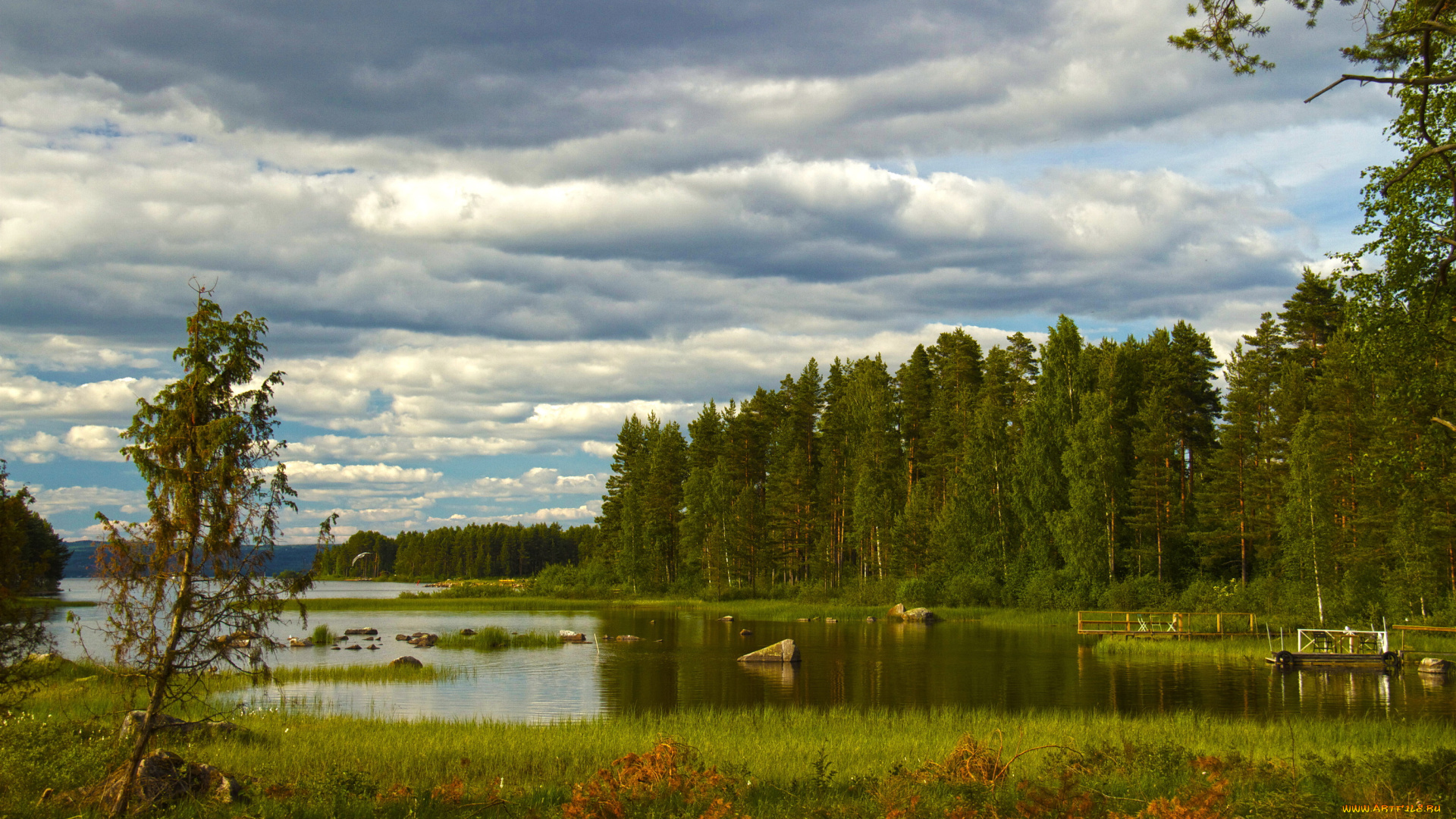 швеция, даларна, природа, пейзажи, трава, лес, река