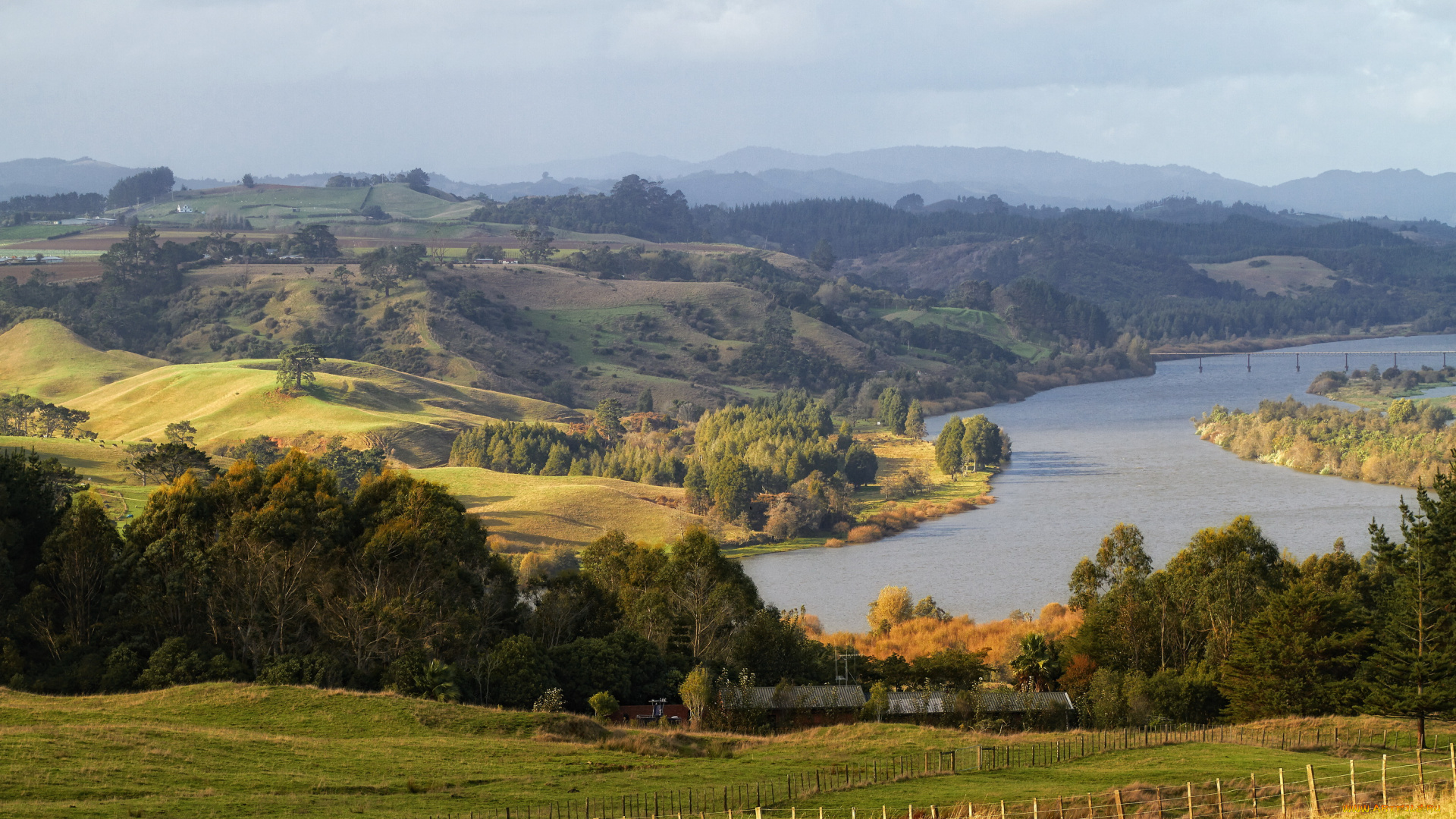 waikato, river, новая, зеландия, природа, реки, озера, деревья, панорама, река