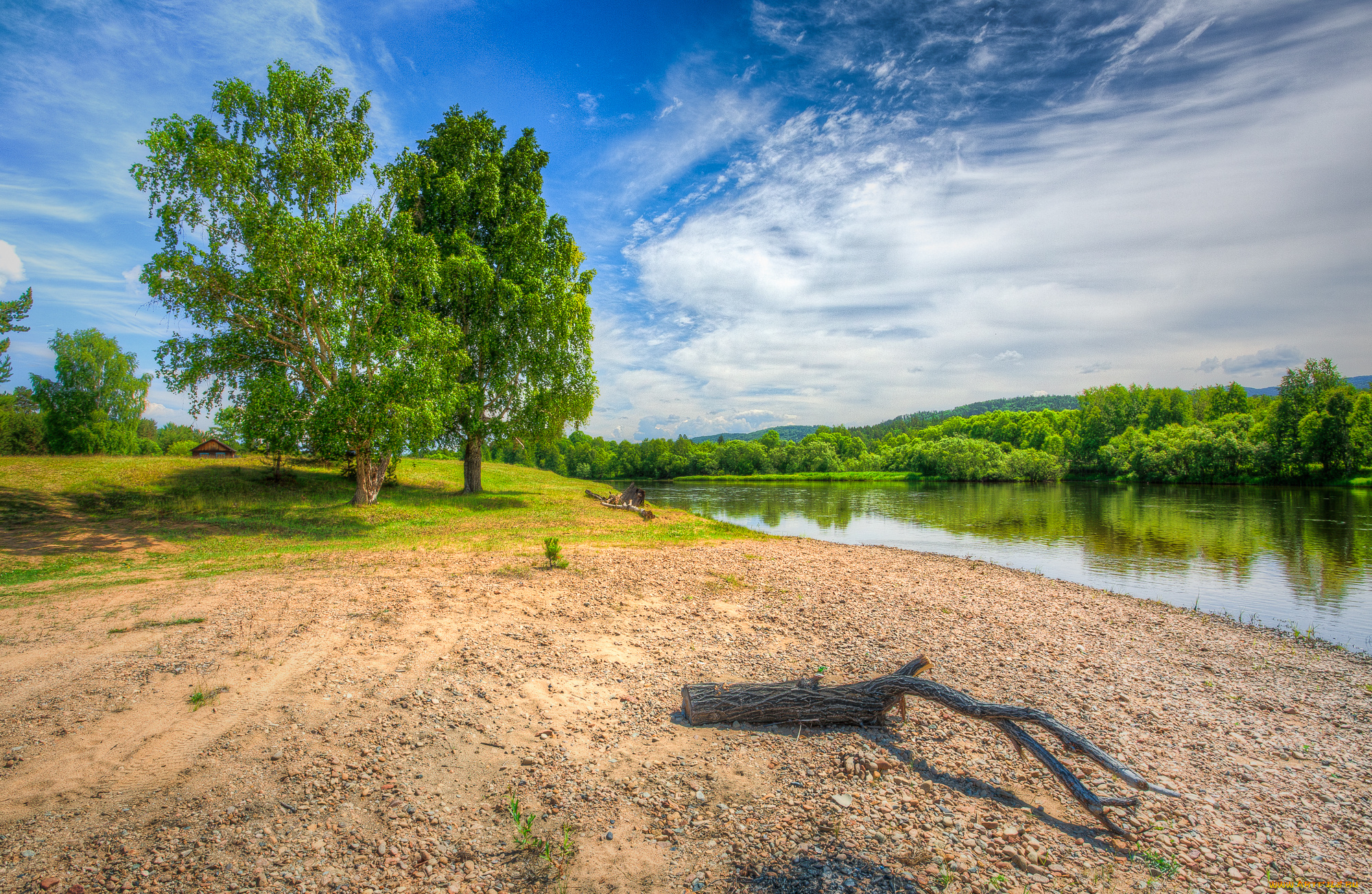 природа, реки, озера, лес, река, пляж, коряга