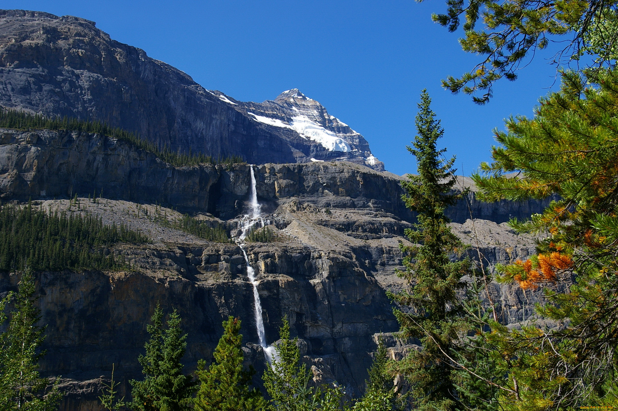 mt, robson, provincial, park, канада, природа, горы, парк, лес