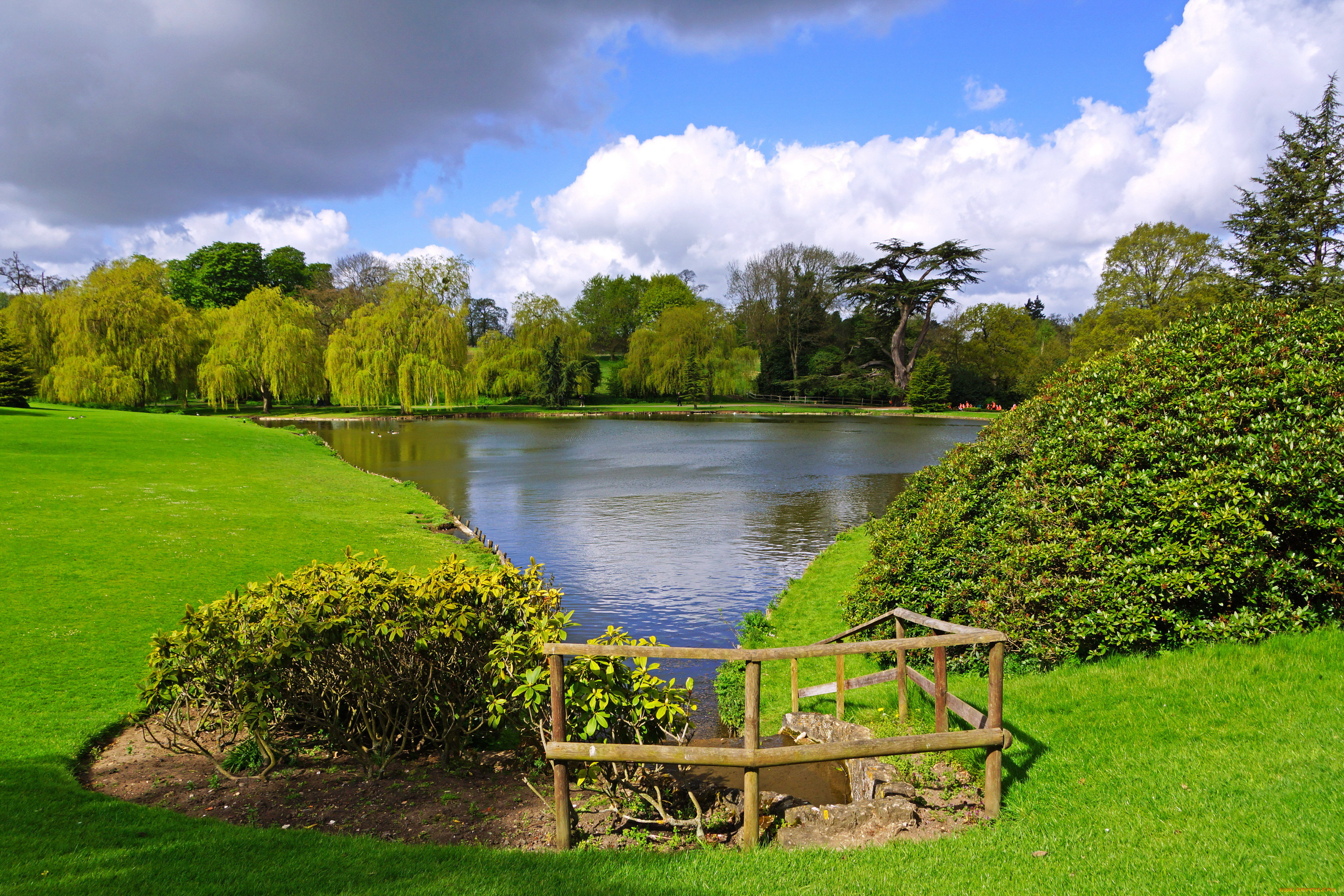 англия, leeds, castle, park, природа, парк, пруд, трава