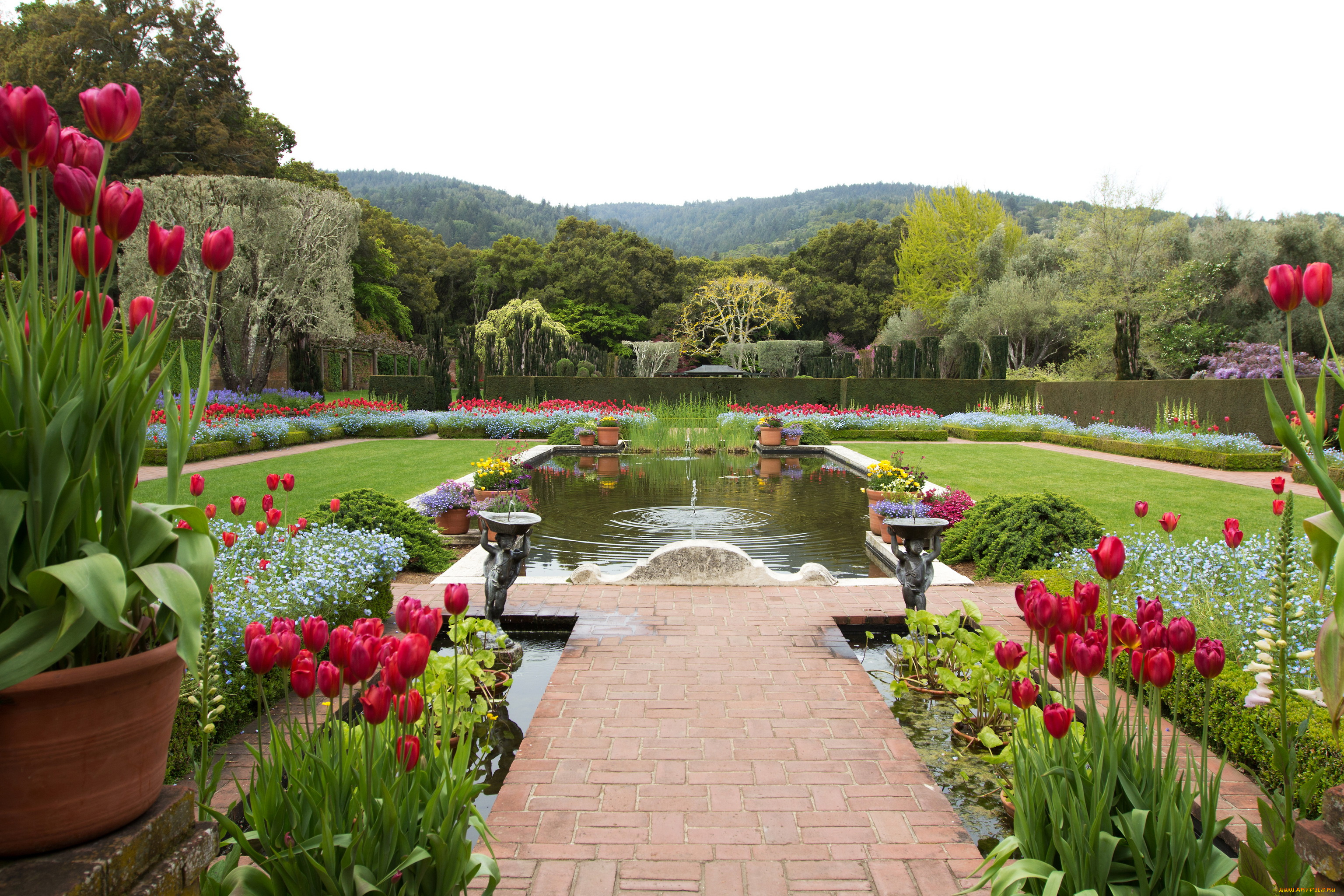 filoli, gardens, калифорния, сша, природа, парк, сад, фонтан, тюльпаны, деревья, клумбы