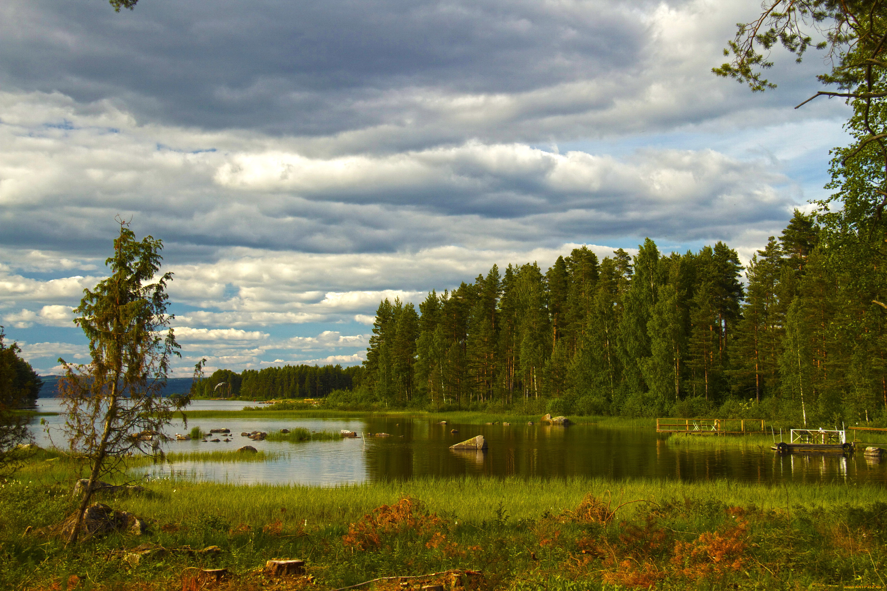 швеция, даларна, природа, пейзажи, трава, лес, река