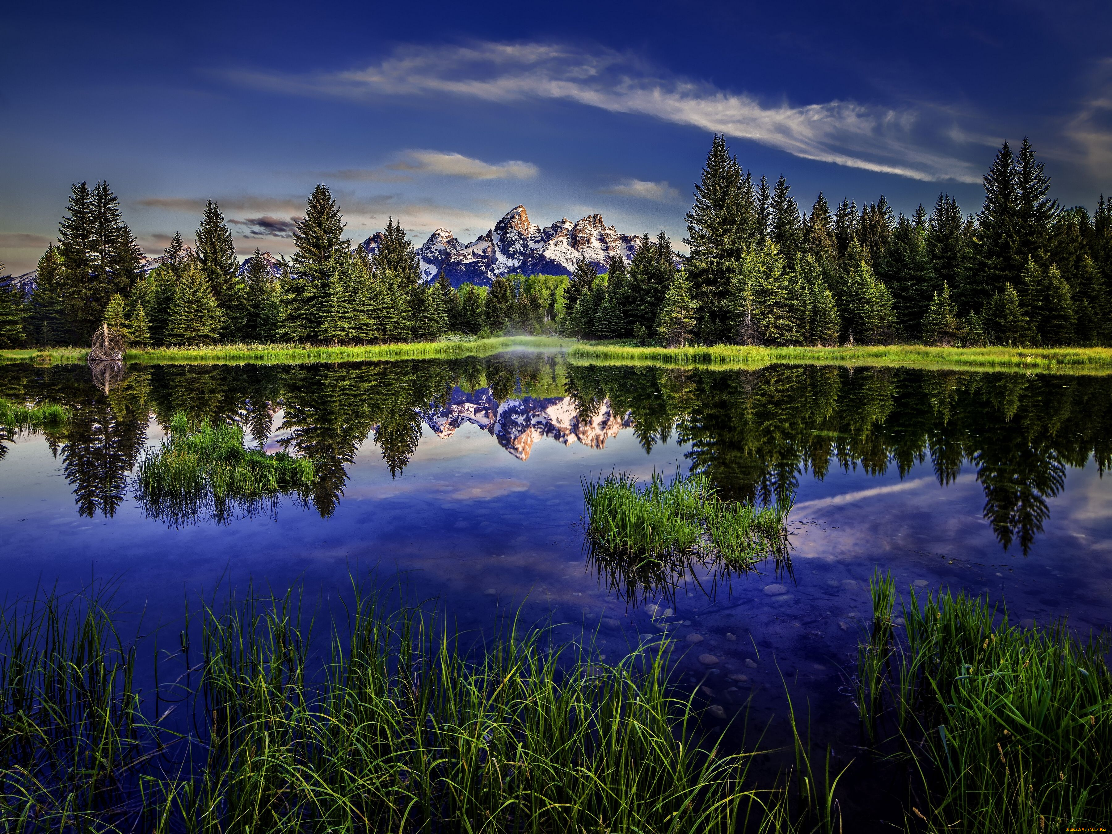 beaver, pond, grand, teton, national, park, wyoming, природа, реки, озера, скалистые, горы, лес, отражение, озеро, вайоминг, гранд-титон, rocky, mountains