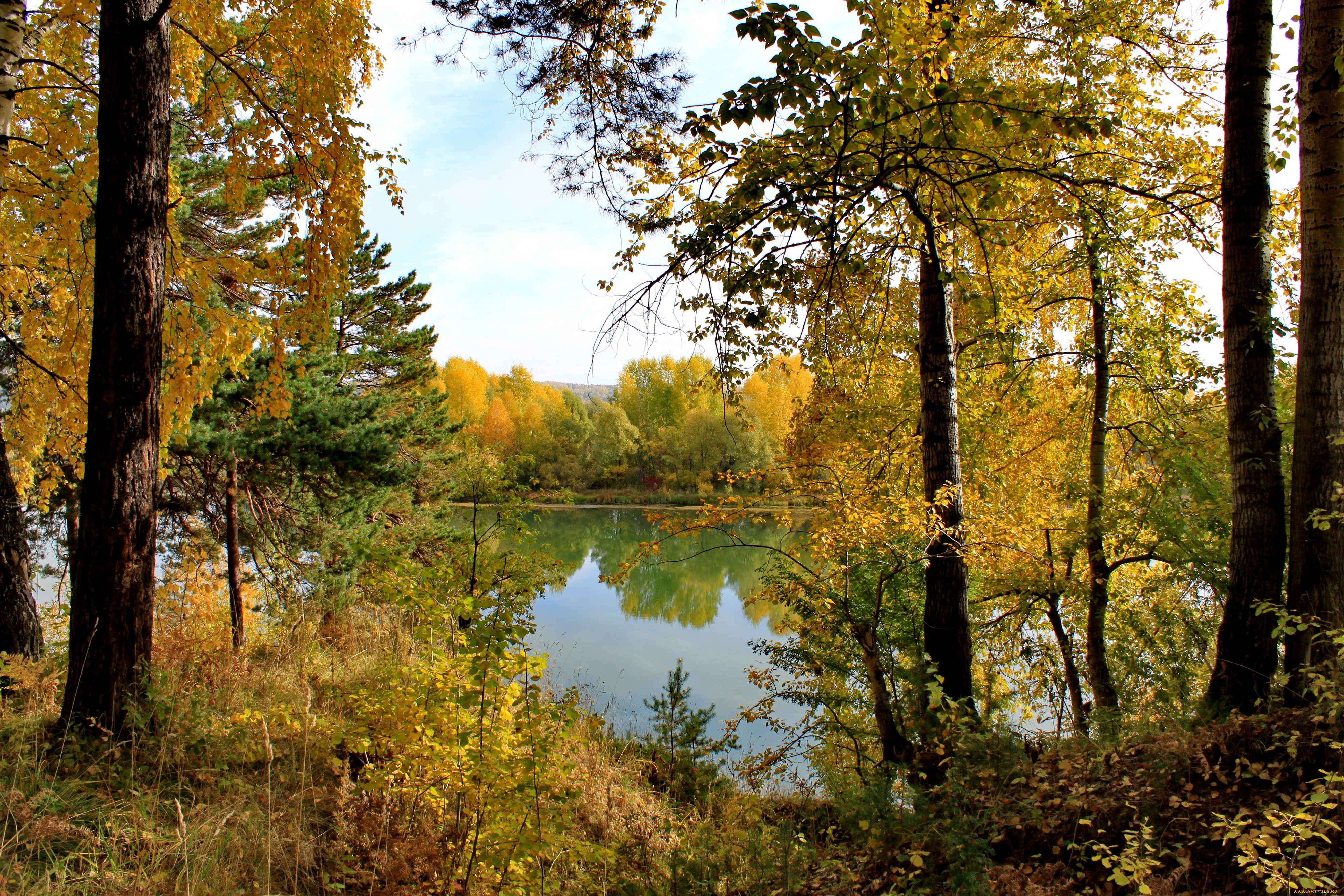 природа, реки, озера, река, сентябрь, расота, лес, осень
