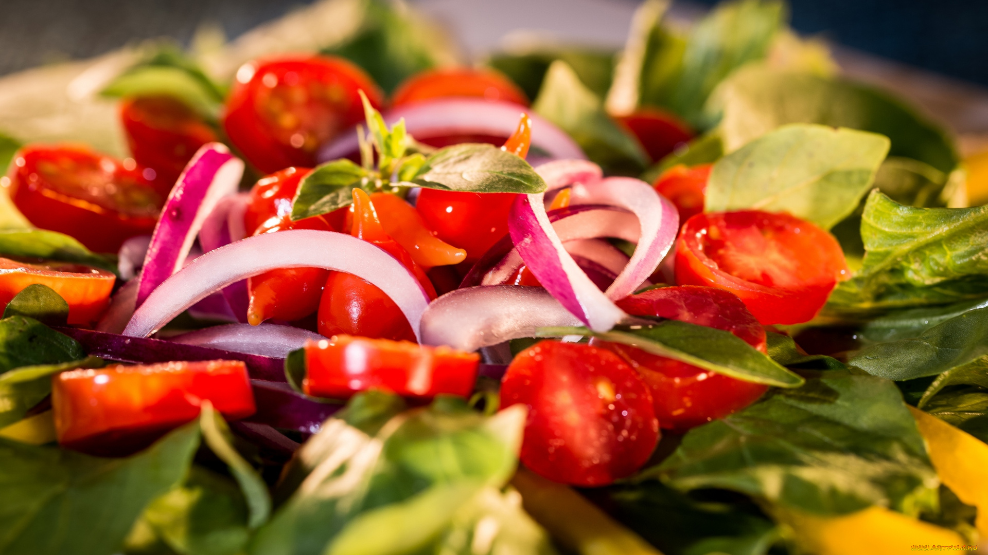 еда, салаты, , закуски, салат, salad