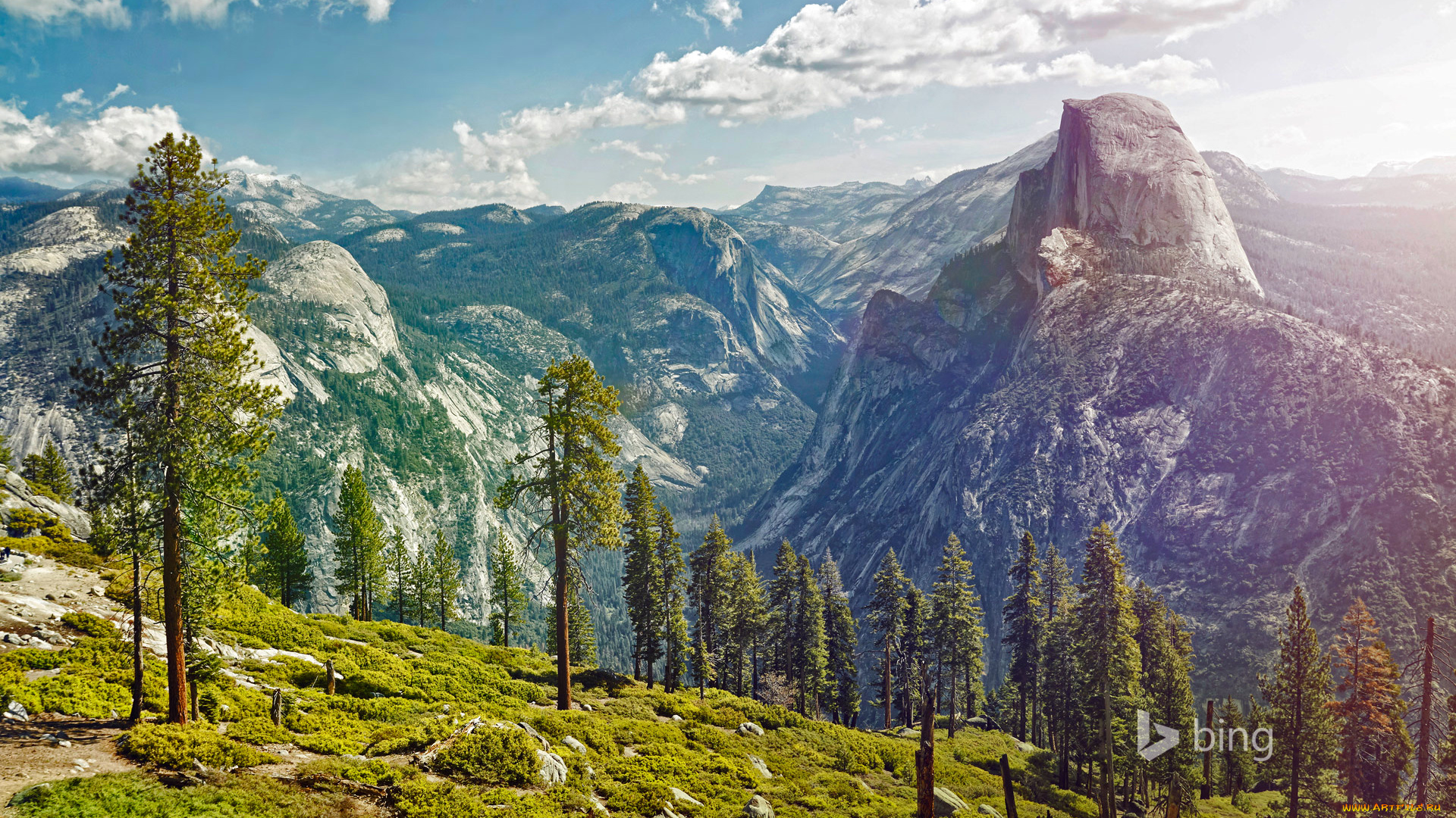 природа, горы, сша, калифорния, снег, yosemite, national, park, деревья