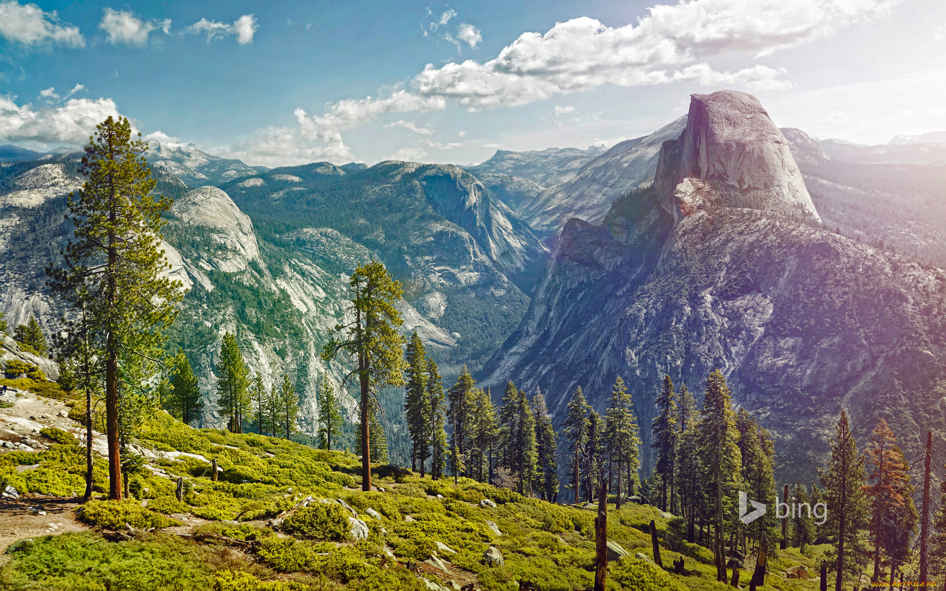 природа, горы, сша, калифорния, снег, yosemite, national, park, деревья