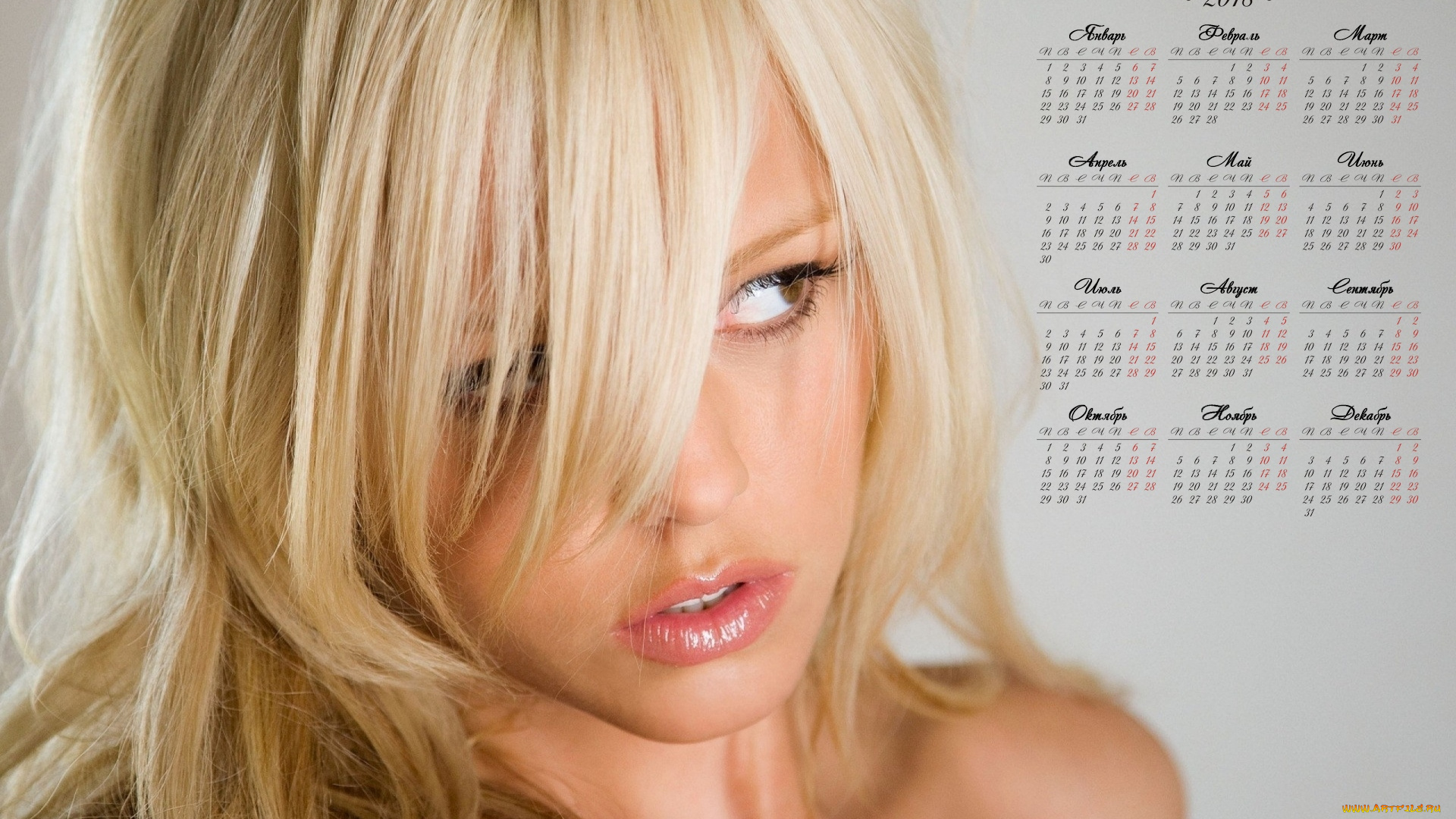 календари, девушки, блондинка, лицо