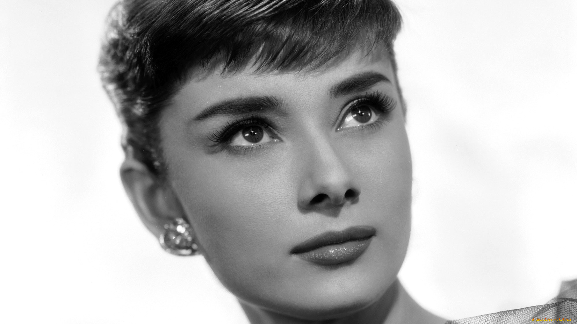 девушки, audrey, hepburn, актриса, лицо, черно-белая