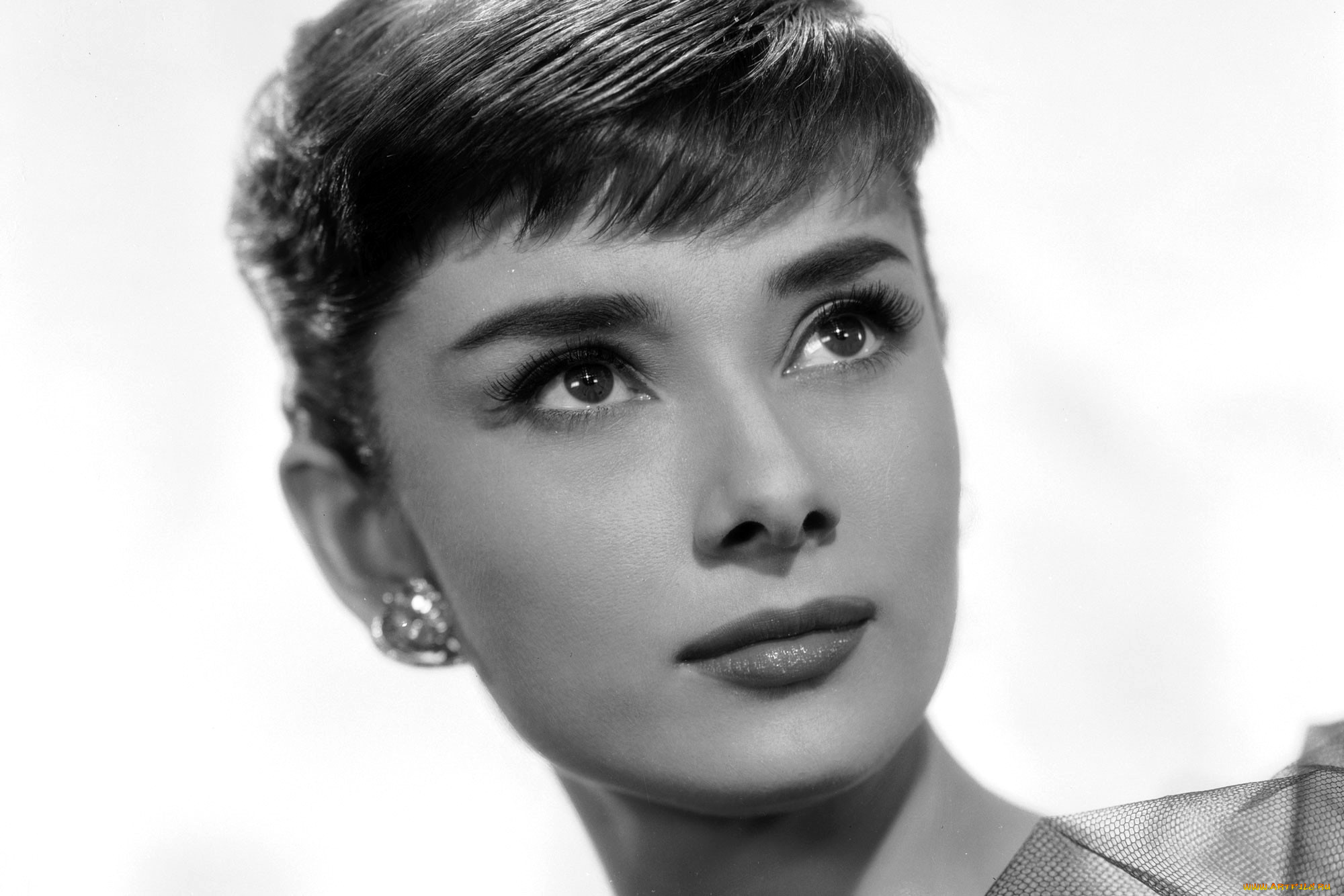 девушки, audrey, hepburn, актриса, лицо, черно-белая