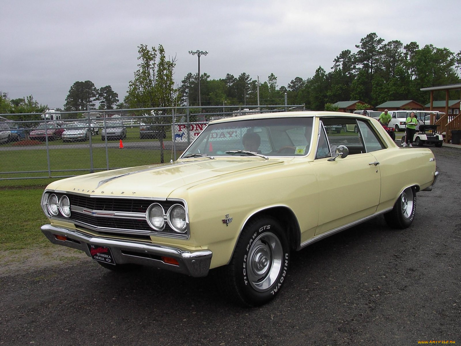 1965, chevrolet, malibu, classic, автомобили, выставки, уличные, фото