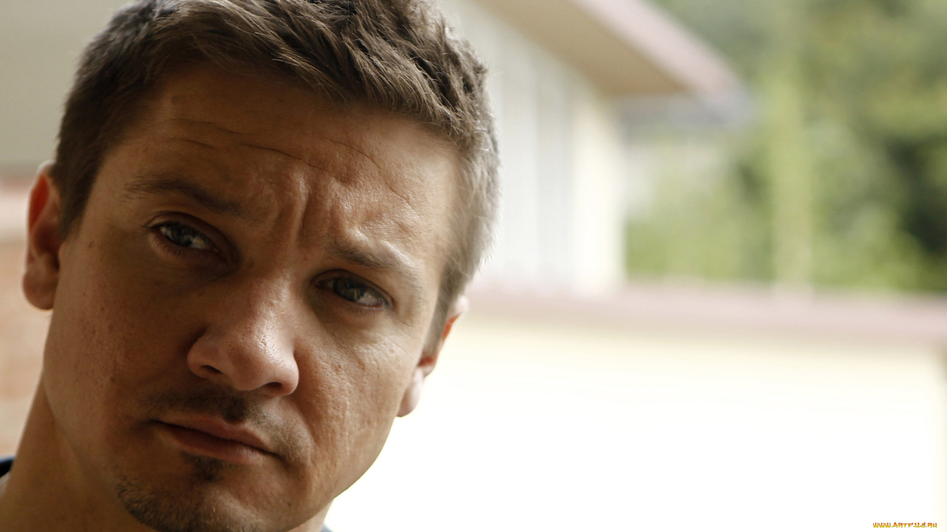 jeremy, renner, мужчины, киноактер, джереми, реннер