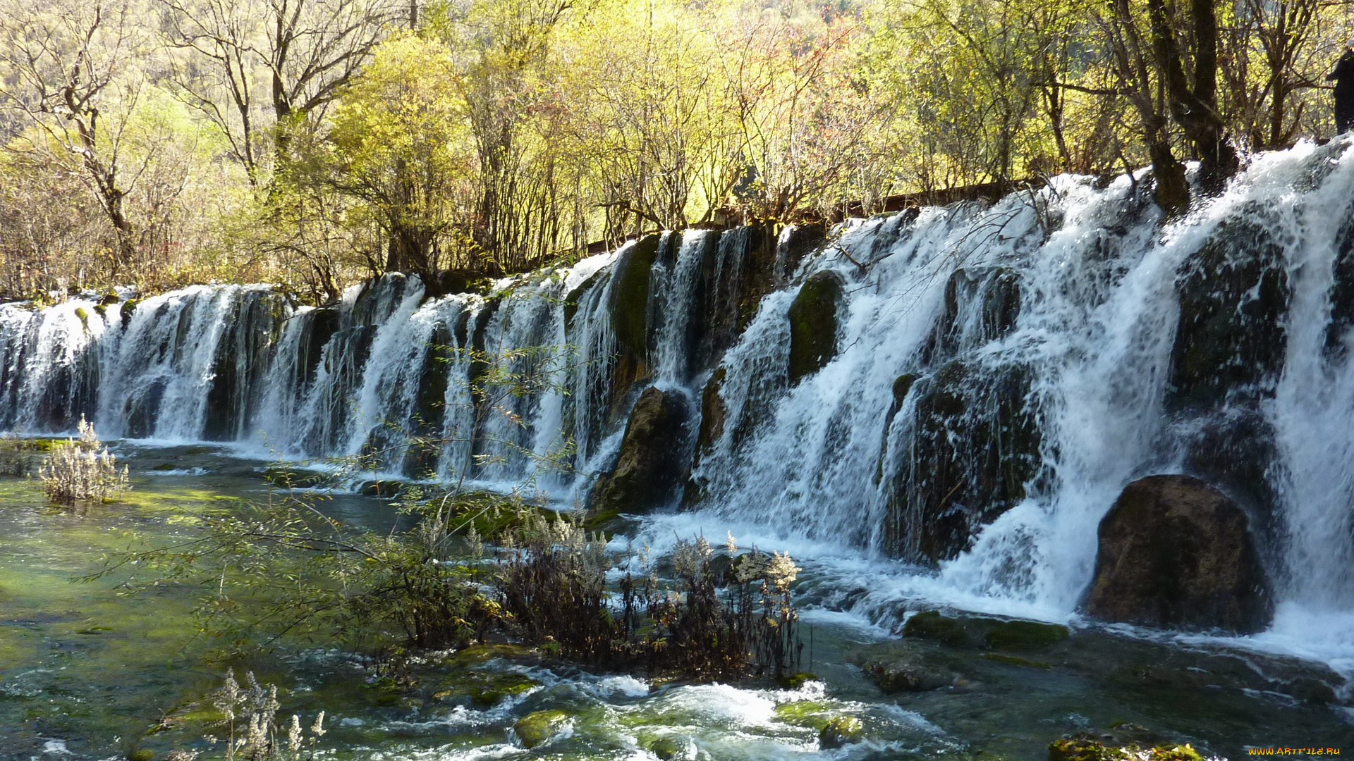 китай, jiuzhaigou, valley, bamboo, falls, природа, водопады, водопад