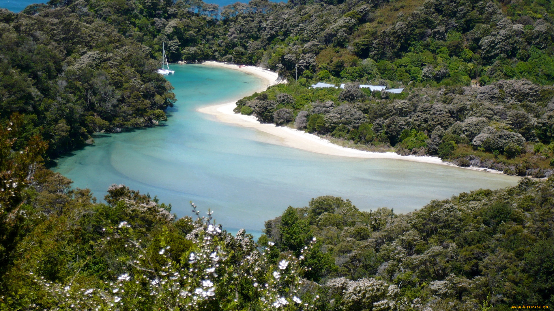 lake, ellesmere, abel, tasman, national, park, природа, реки, озера, озеро, горы