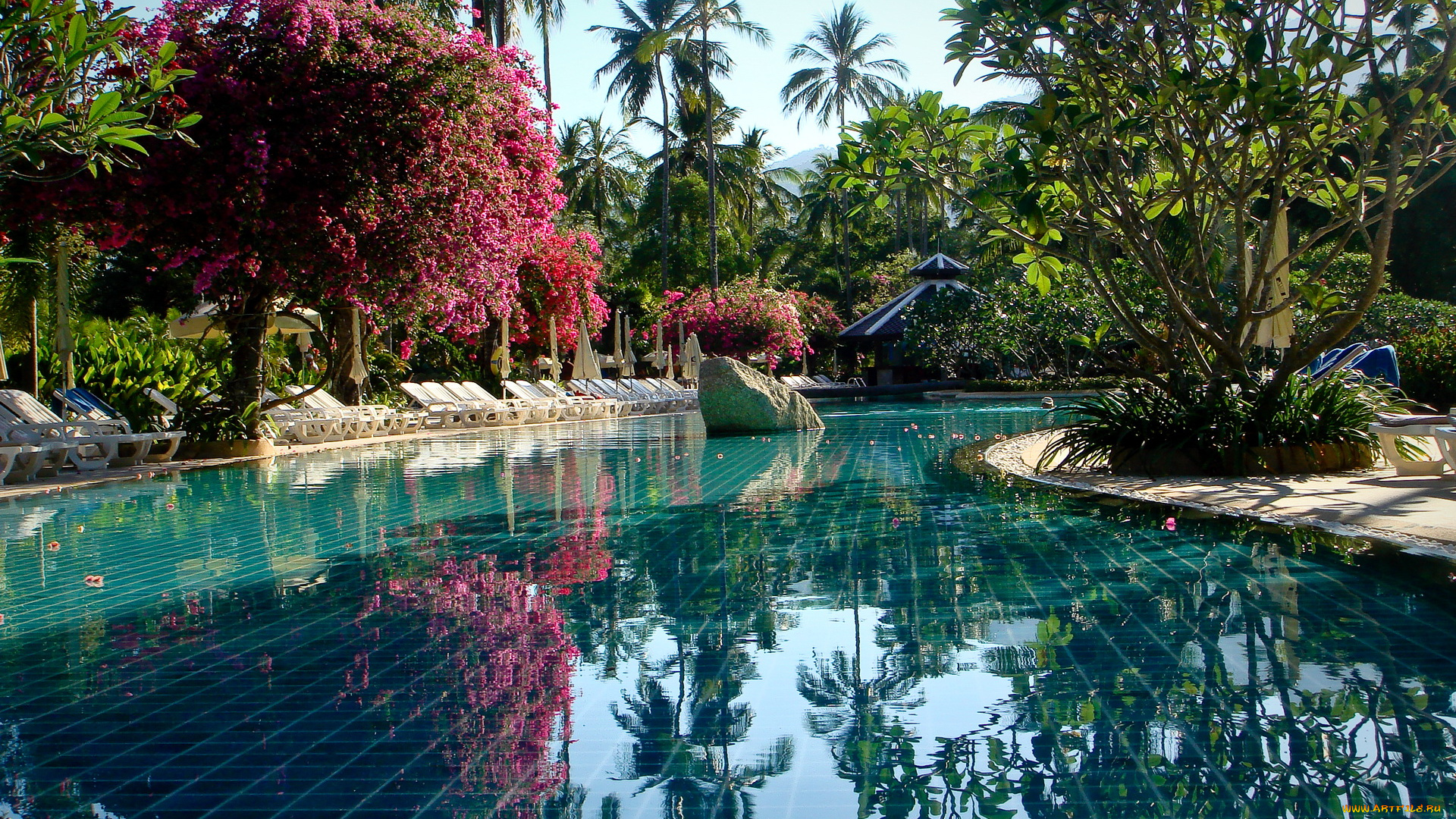 phuket, thailand, интерьер, бассейны, открытые, площадки, бассейн
