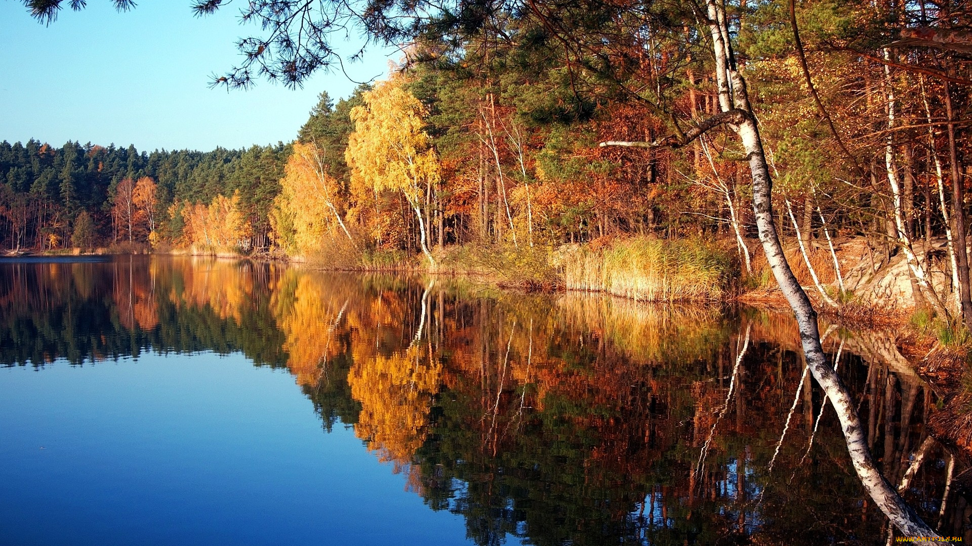 природа, реки, озера, осень, деревья, отражение
