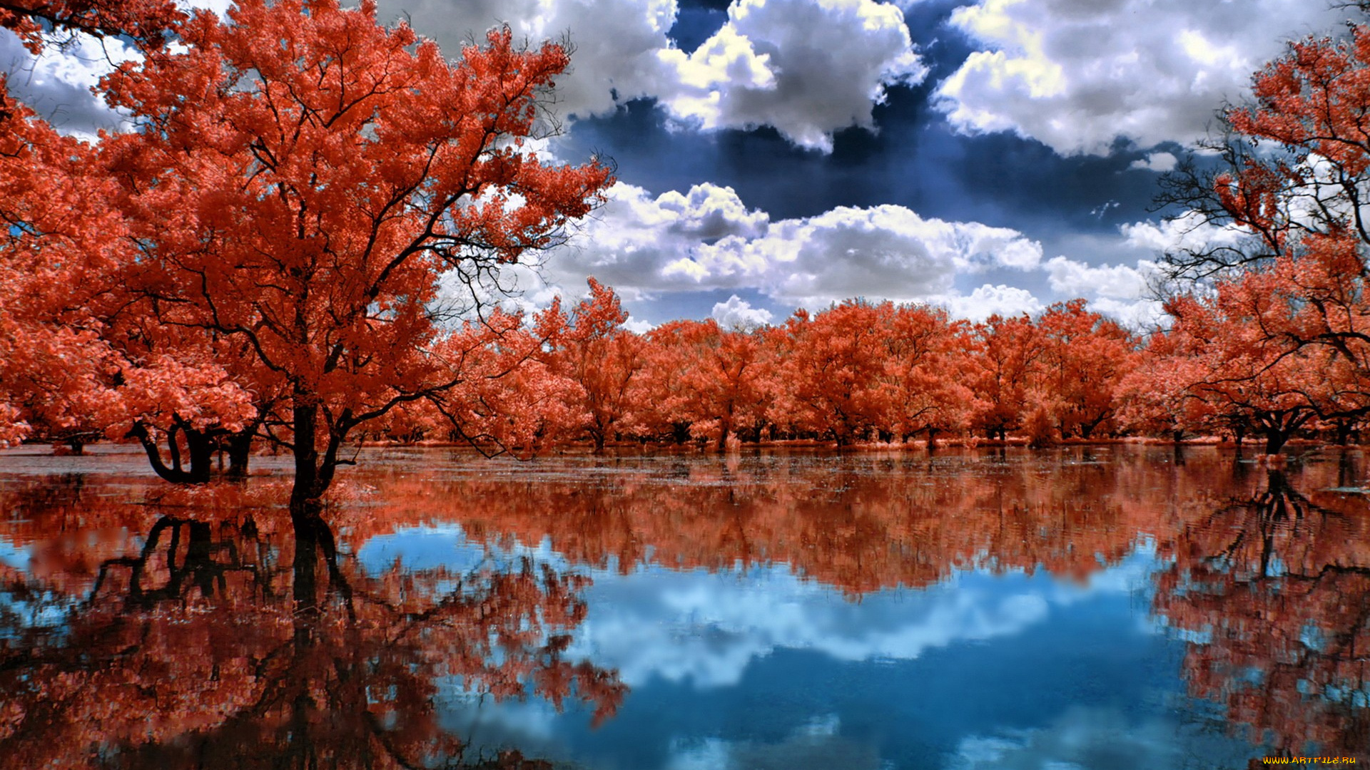 природа, реки, озера, река, осень, разлив, деревья, красные, кроны, отражение